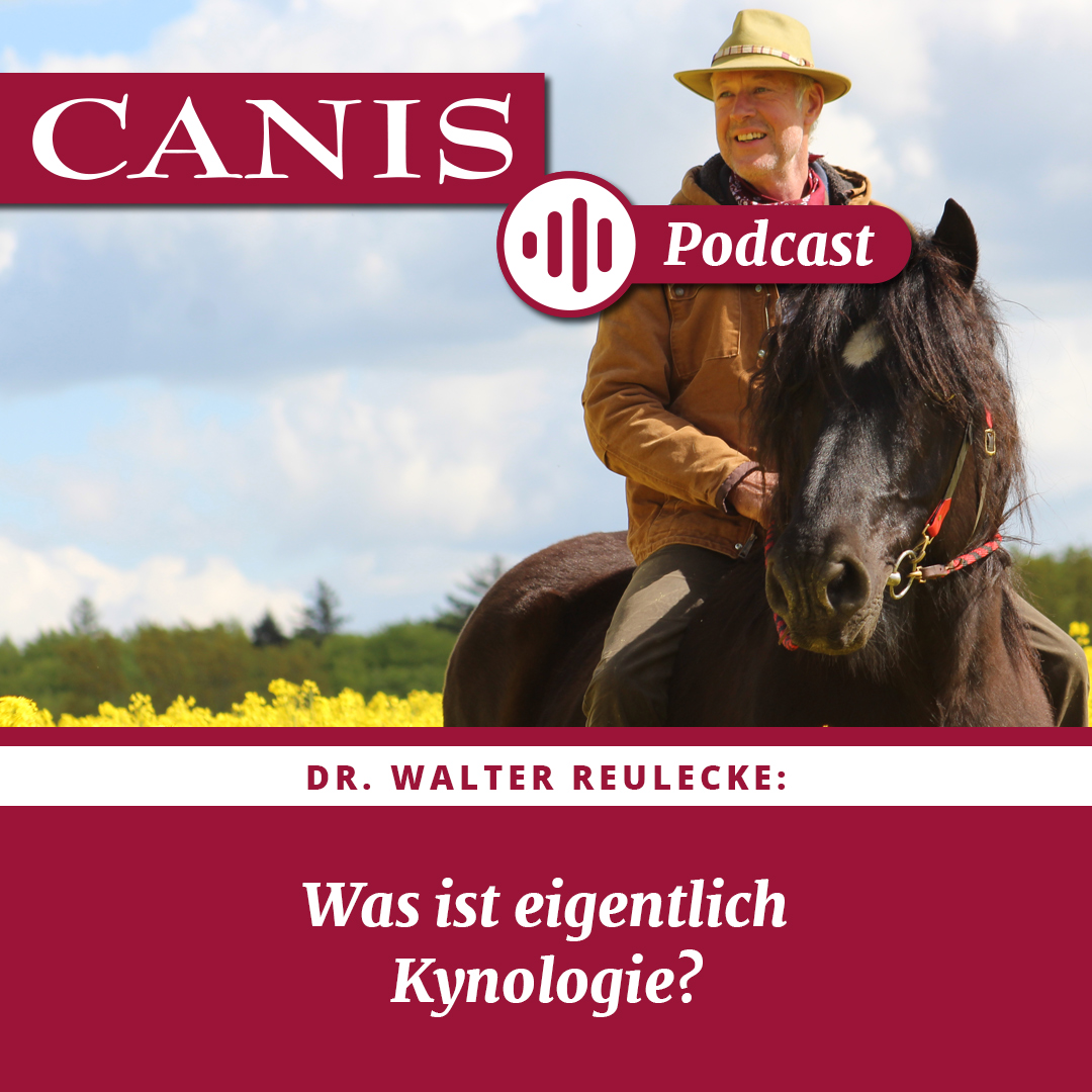 Der CANIS-Podcast – Hundeexpert:innen ausgefragt