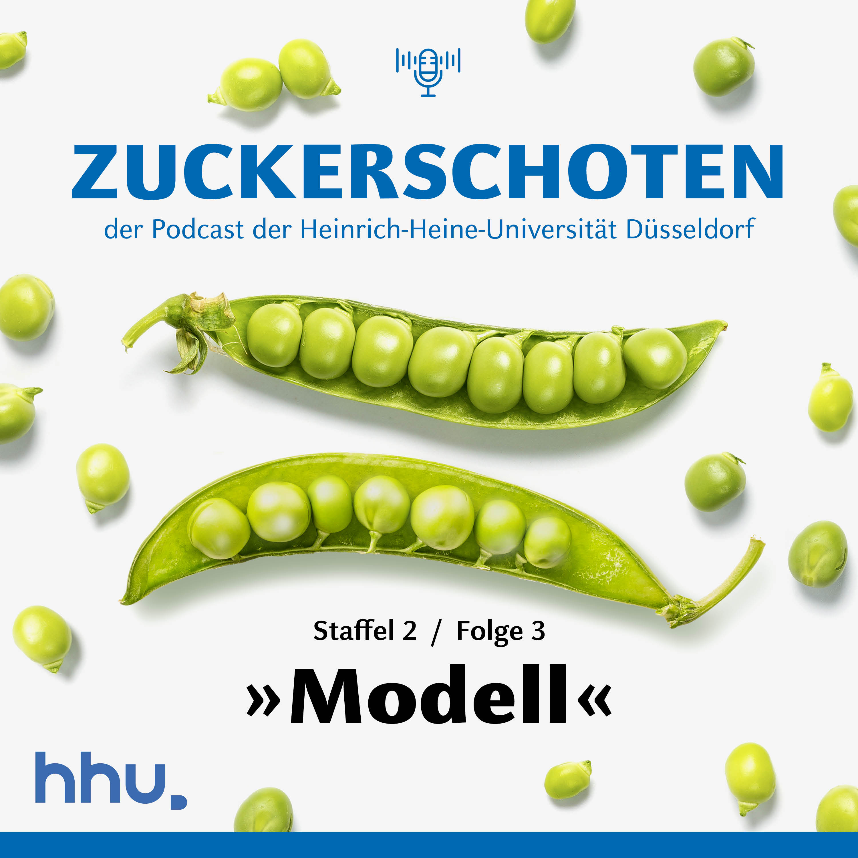 Modell episode artwork
