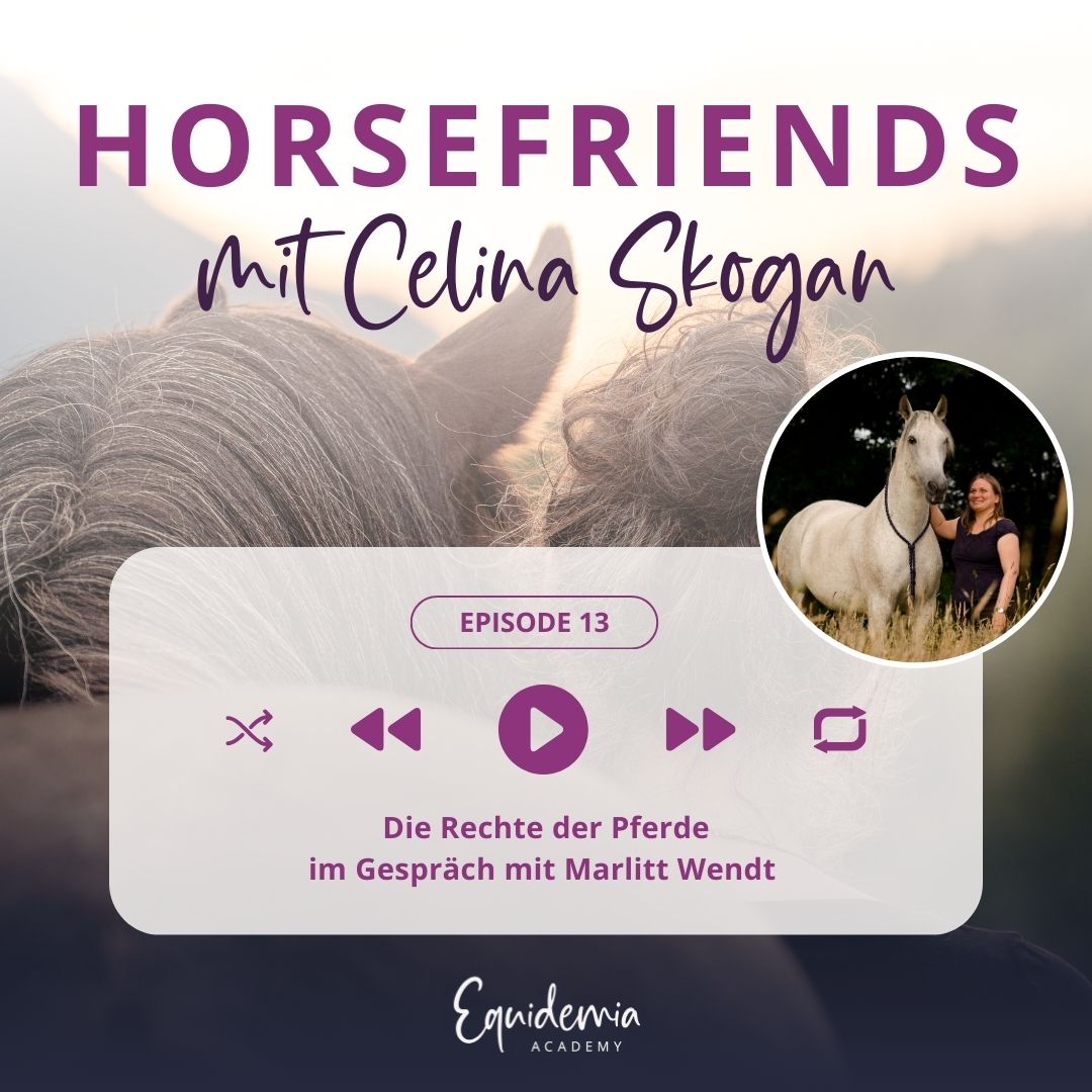 Horsefriends