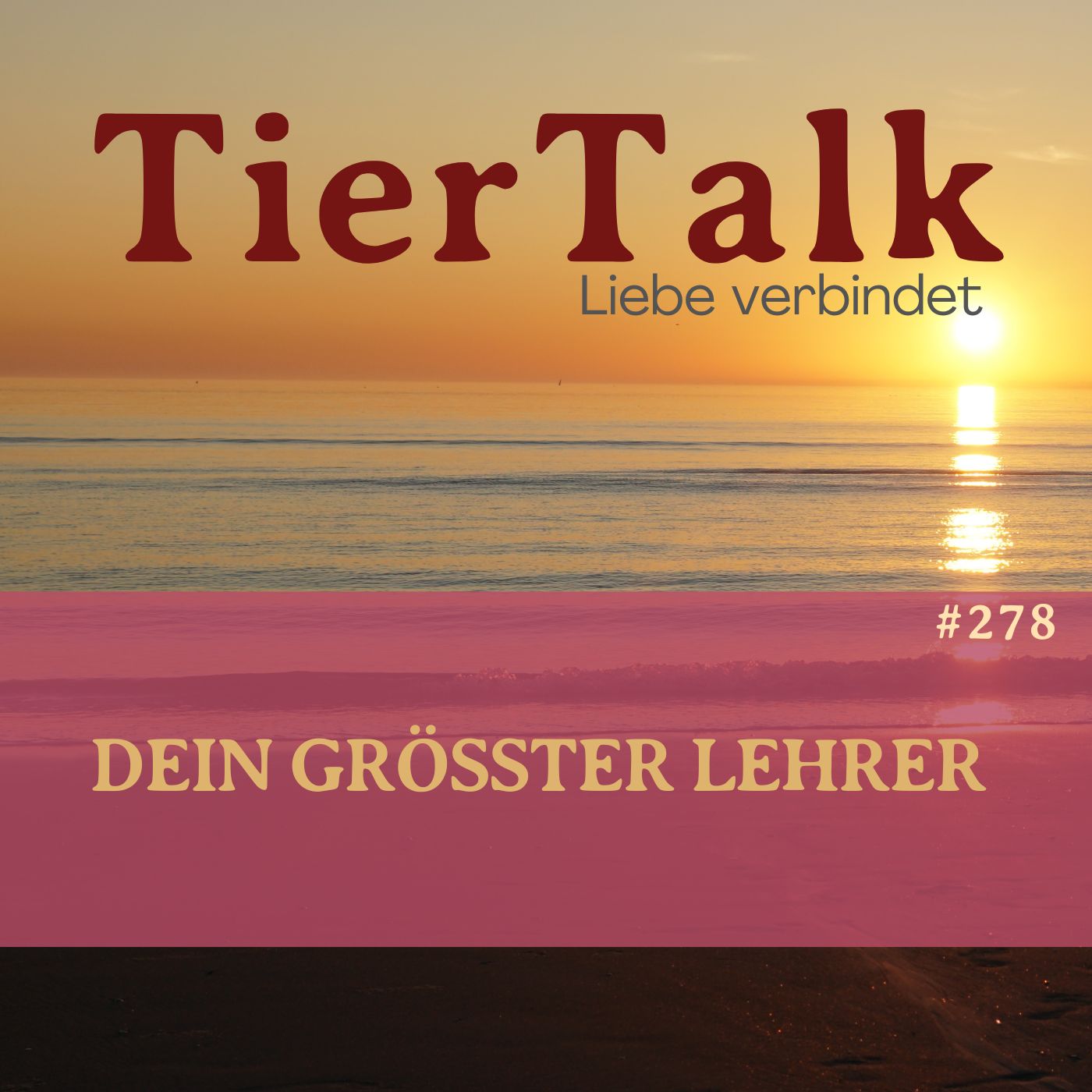 278. Dein Tier ist nicht das Problem - sondern der größte Lehrer 278. Dein Tier ist nicht das Problem - sondern der größte Lehrer