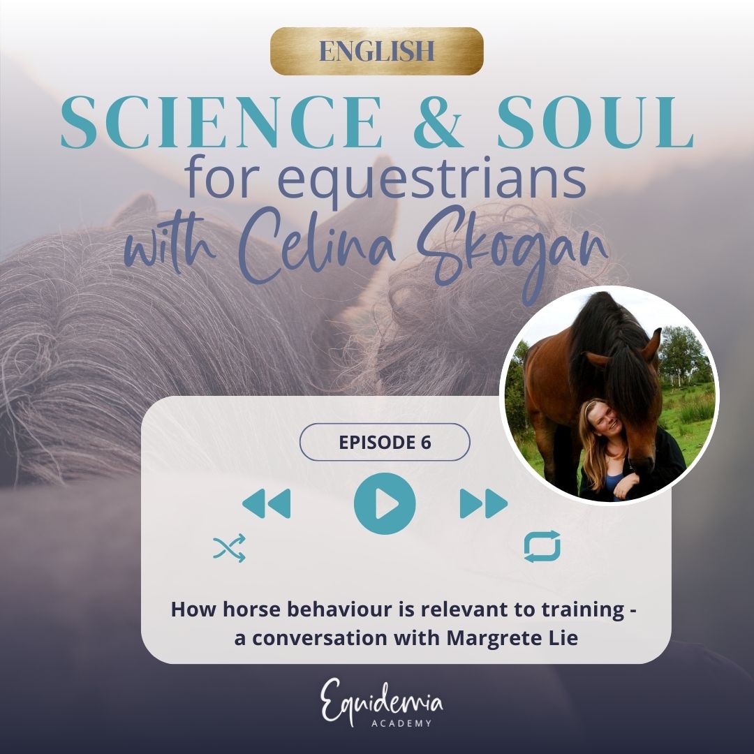 Horsefriends international