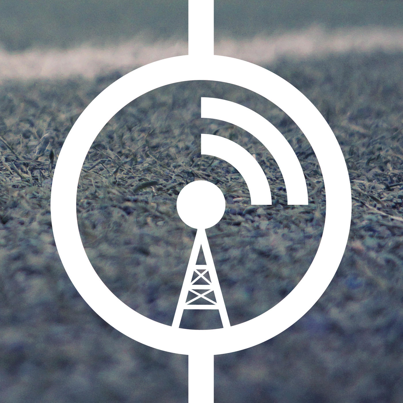 Rasenfunk – Bundesliga | Männer