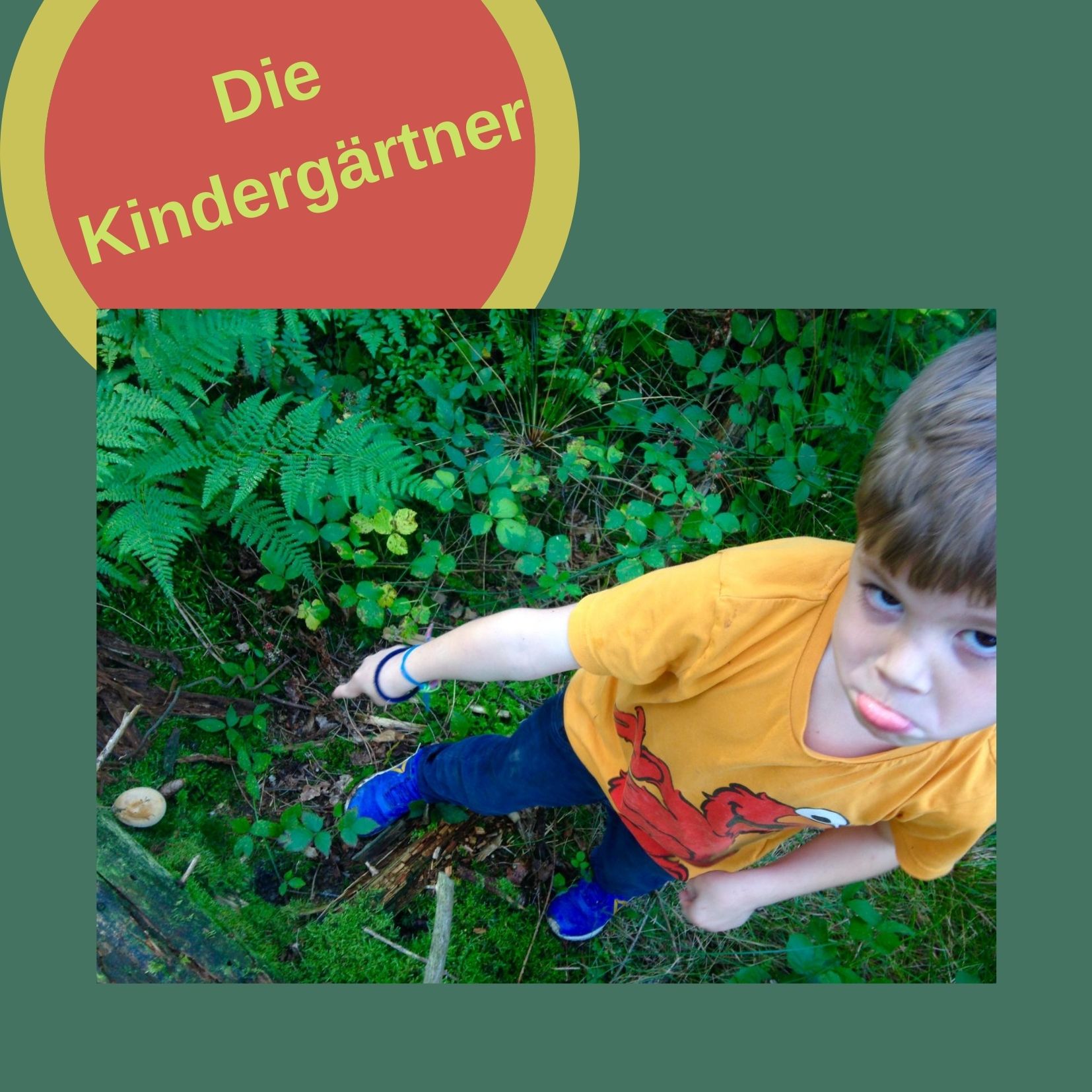Von Knallpilzen und Rosskastanien