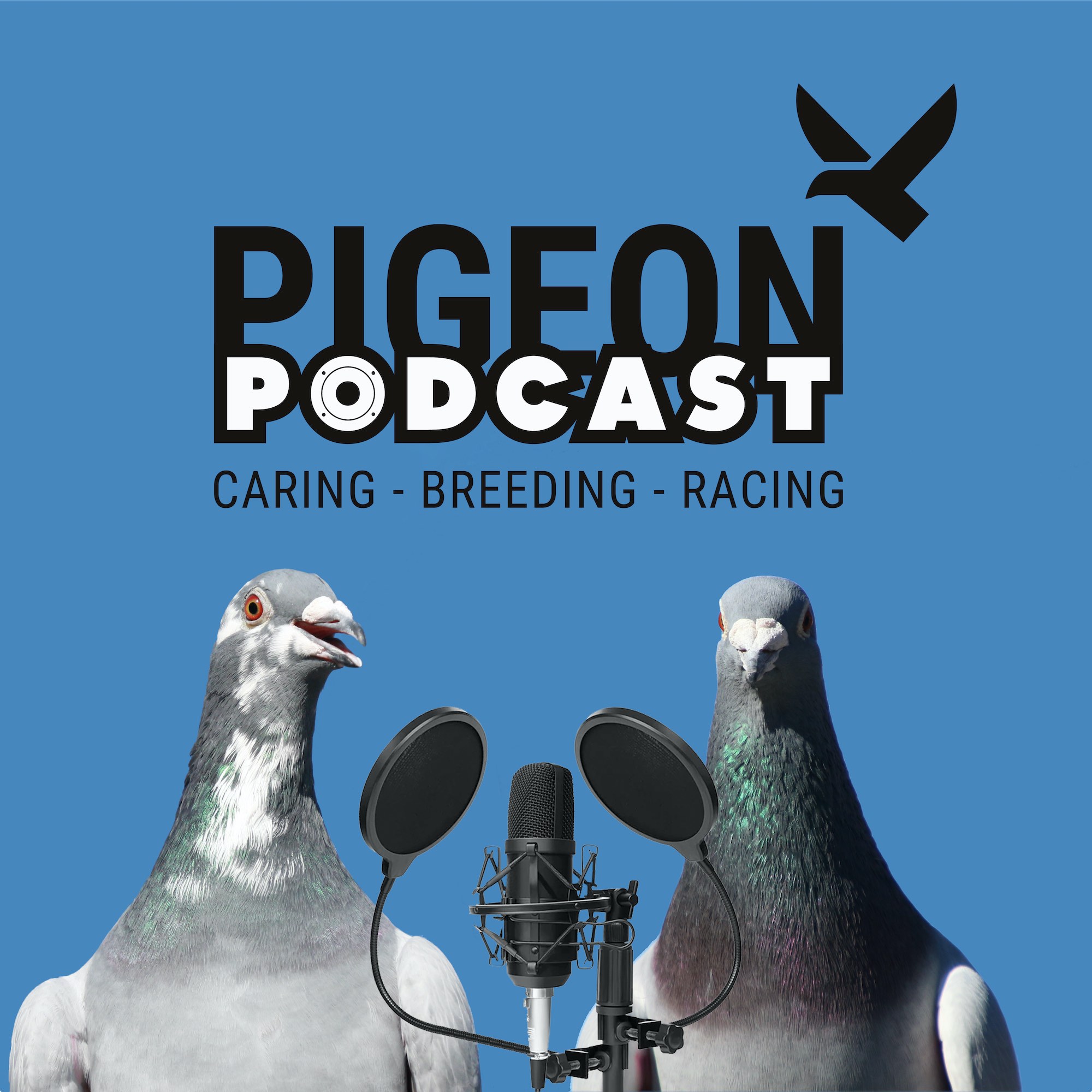 The Pigeon Podcast
