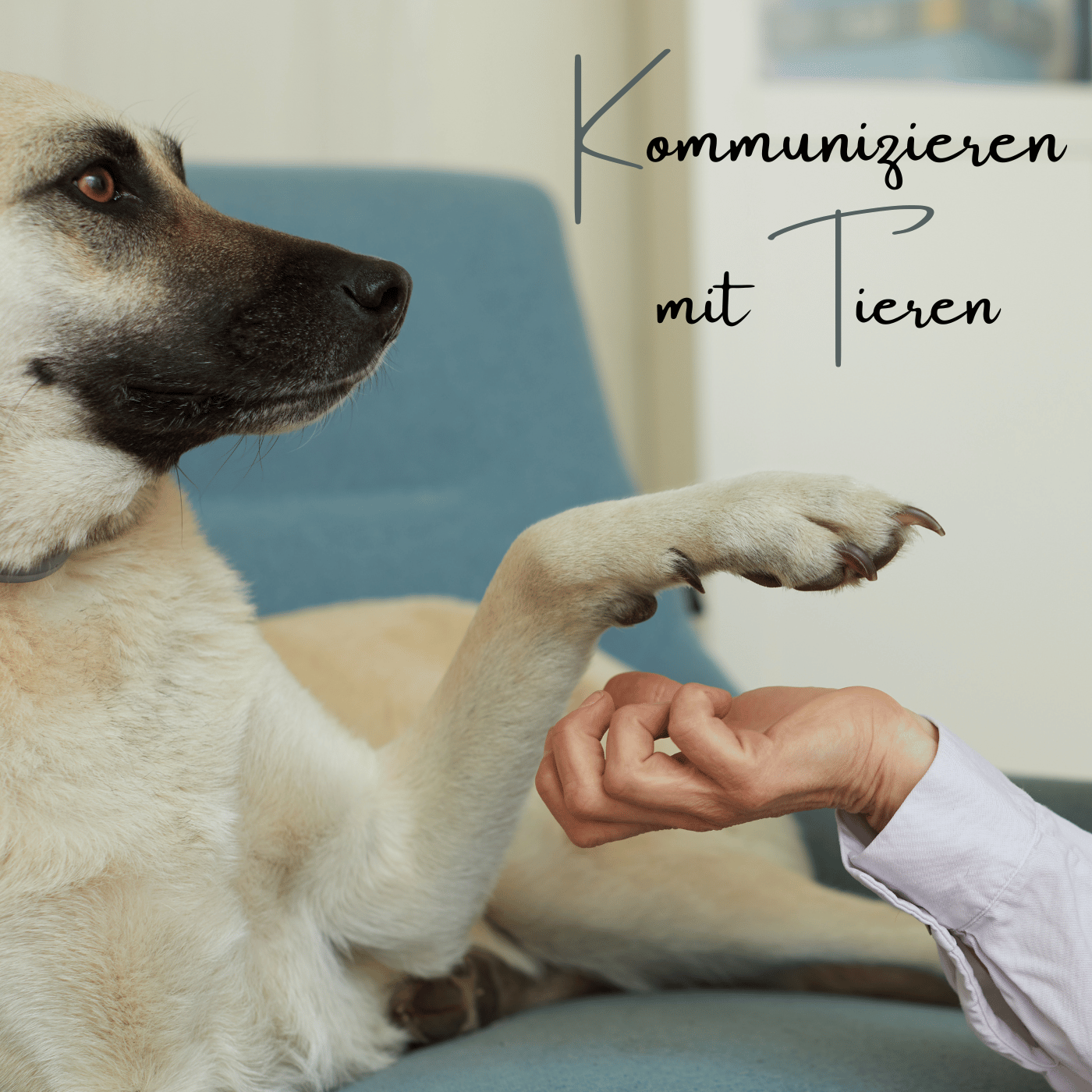Enschuldige dich bitte!