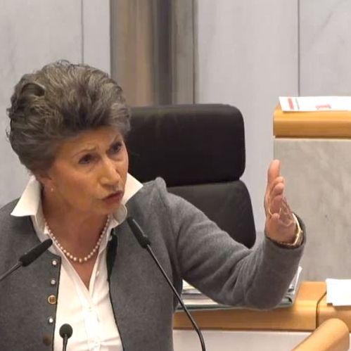 FPÖ: Diese Rede löst einen Eklat im Landtag aus episode artwork