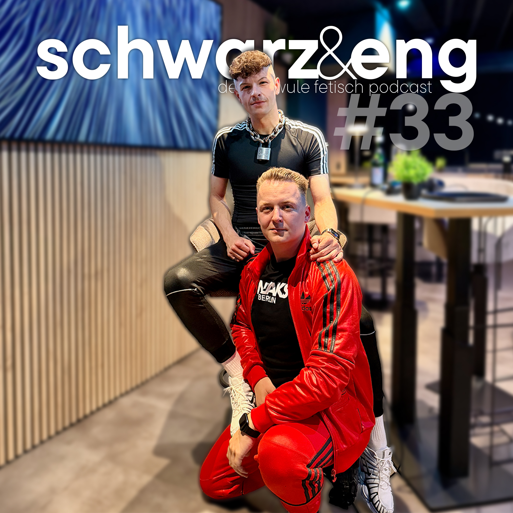 #33 Update aus dem Fetisch-Leben episode artwork
