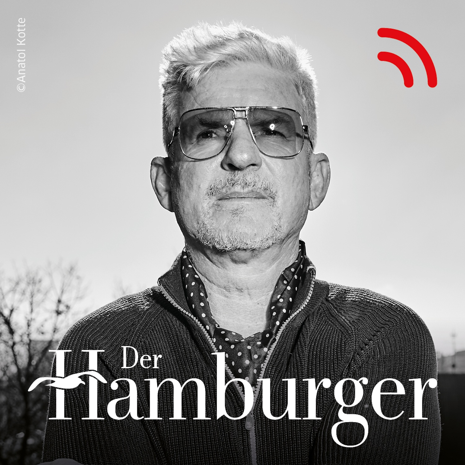 DER HAMBURGER Inside. Stimmen dieser Stadt