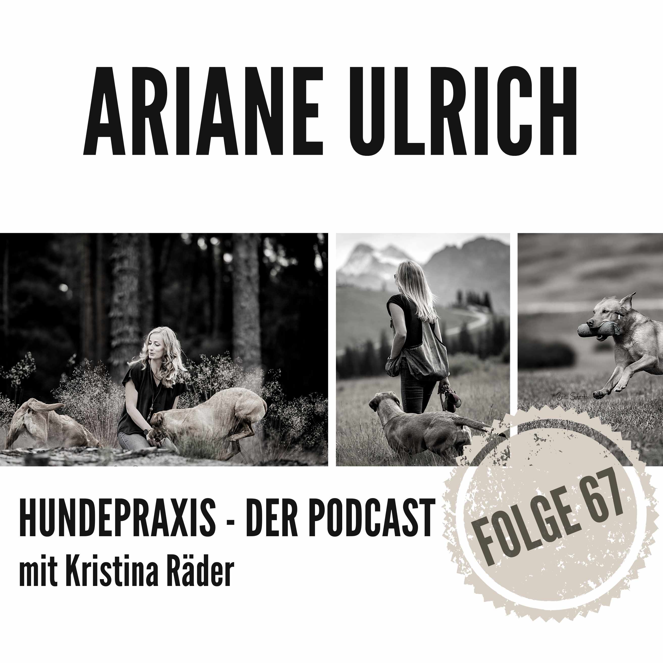Hundepraxis - der Podcast