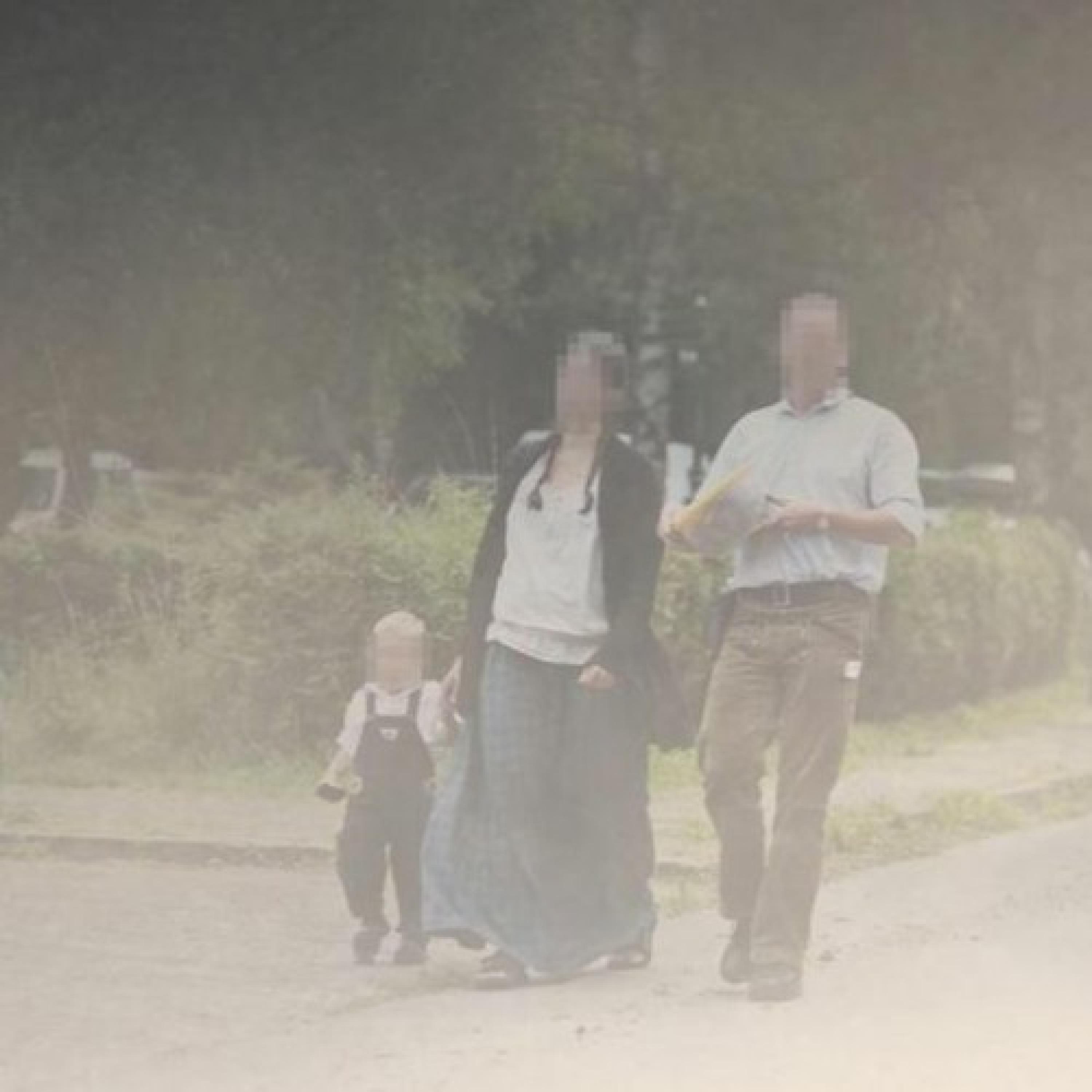 Böll.Fokus