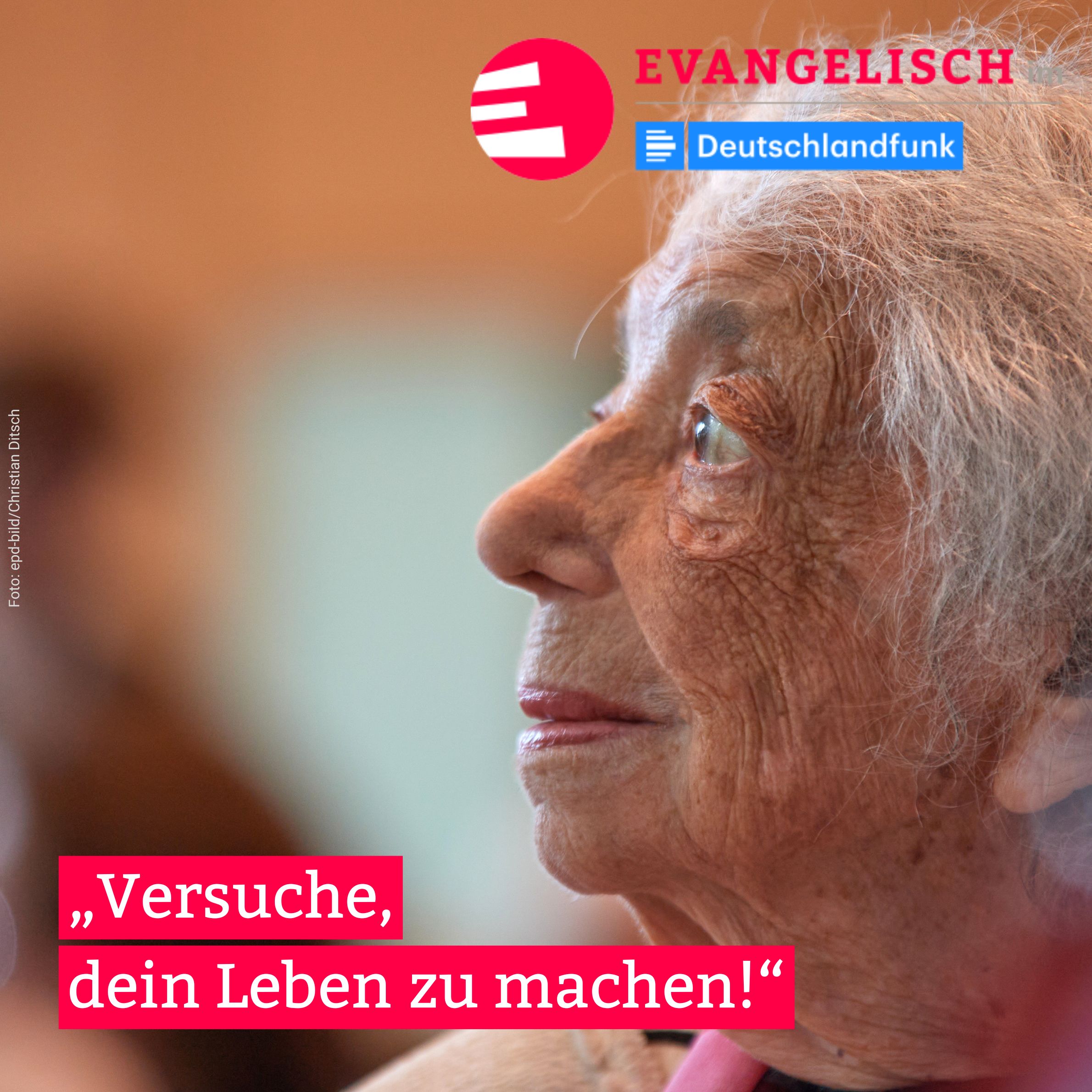 Versuche, dein Leben zu machen!