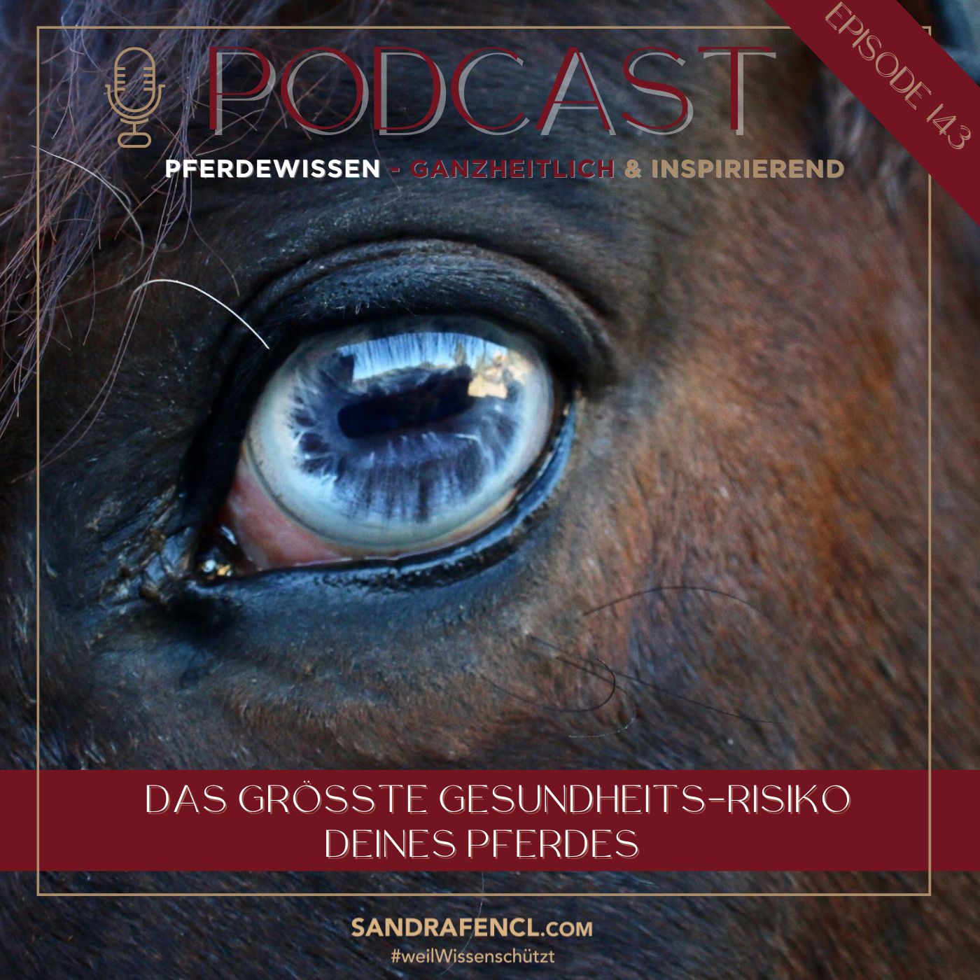 Pferdewissen - ganzheitlich & inspirierend mit Sandra Fencl