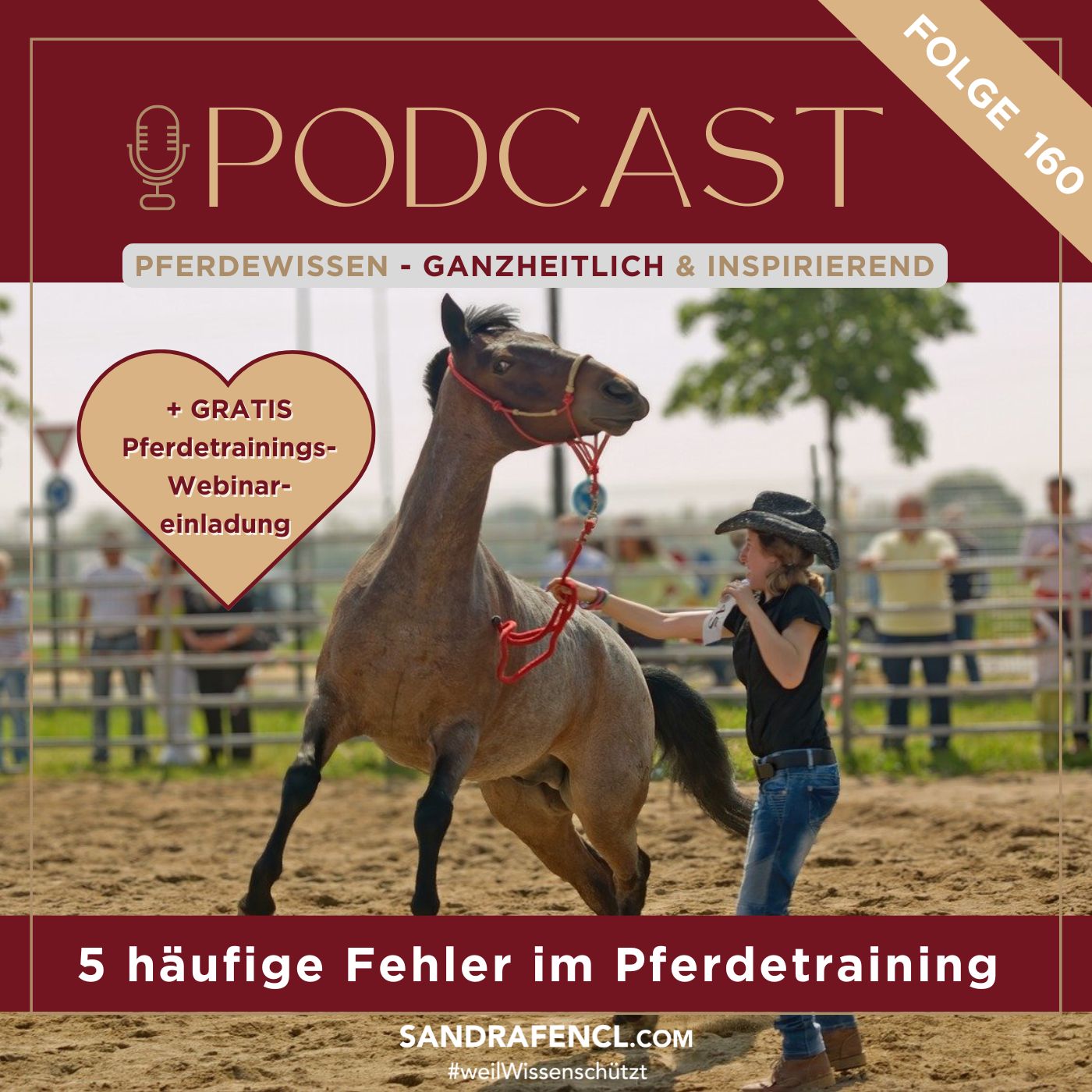 Pferdewissen - ganzheitlich & inspirierend mit Sandra Fencl