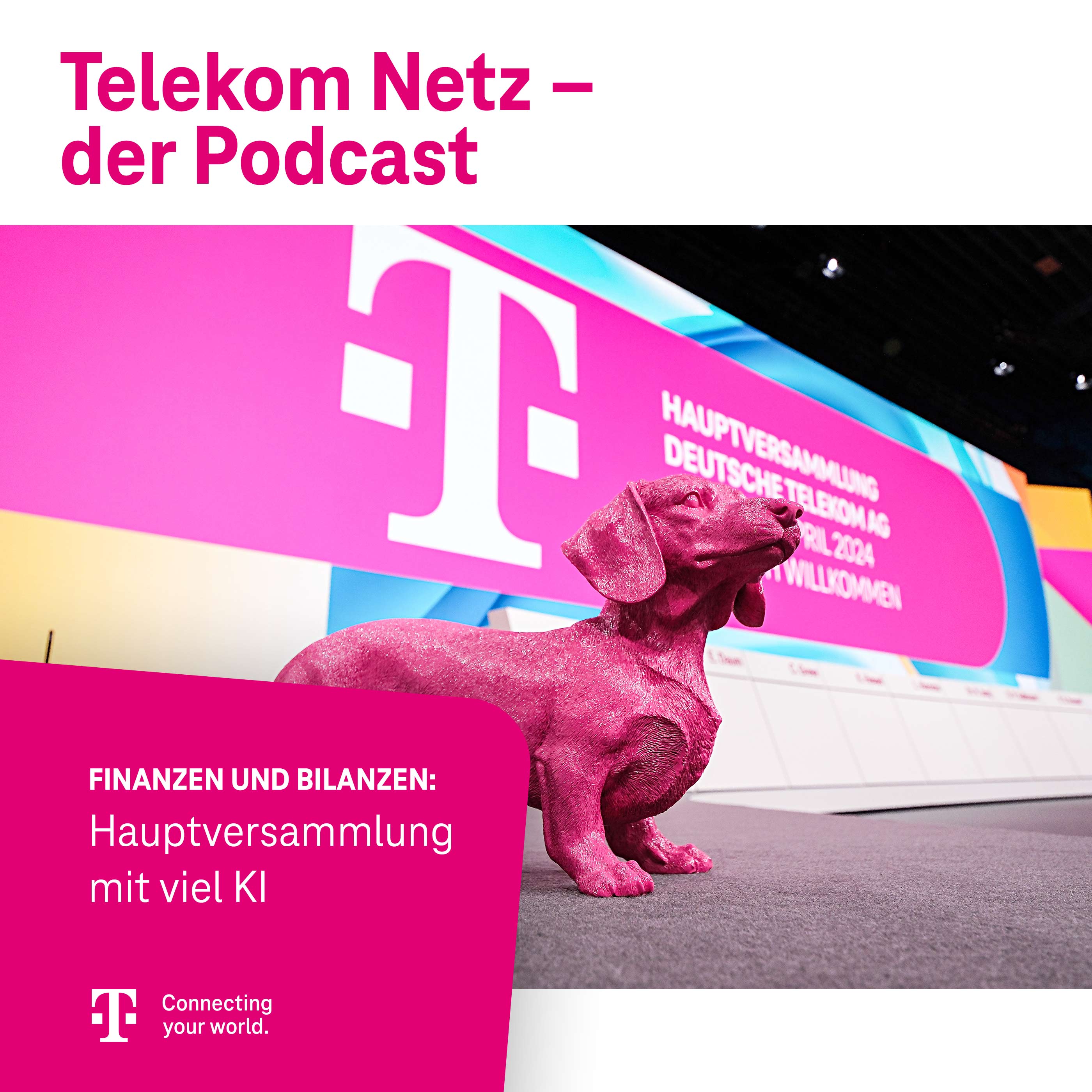 Finanzen und Bilanzen: Glasfaser im Wettbewerb