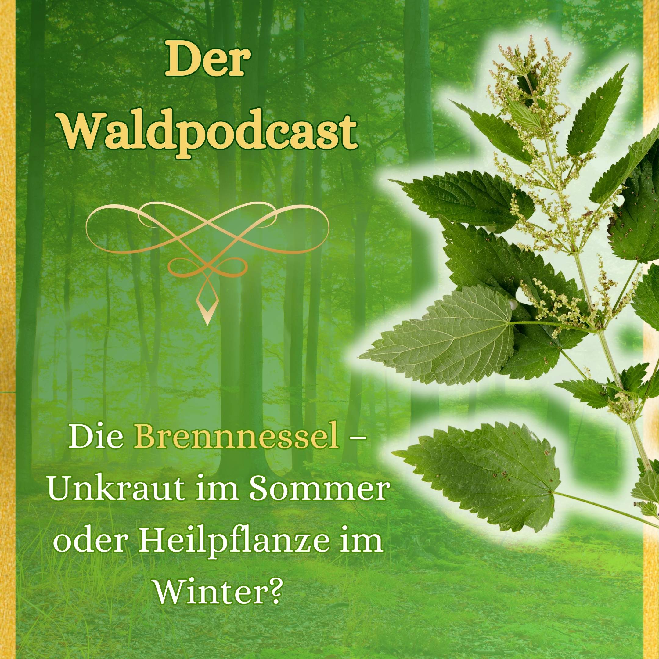 Waldpodcast - für deine innere & äußere Natur