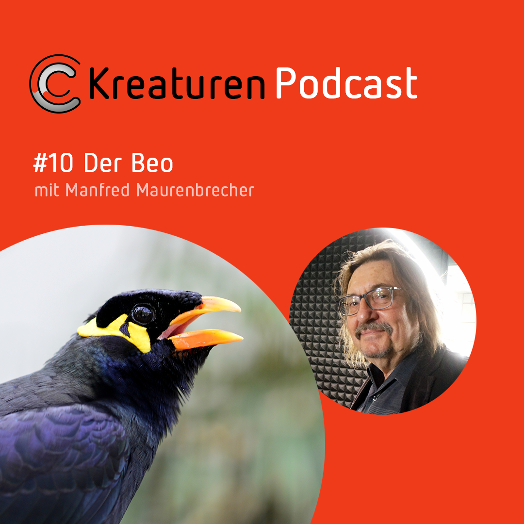 Kreaturen Podcast - Folge 10: Der Beo mit Manfred Maurenbrecher episode artwork