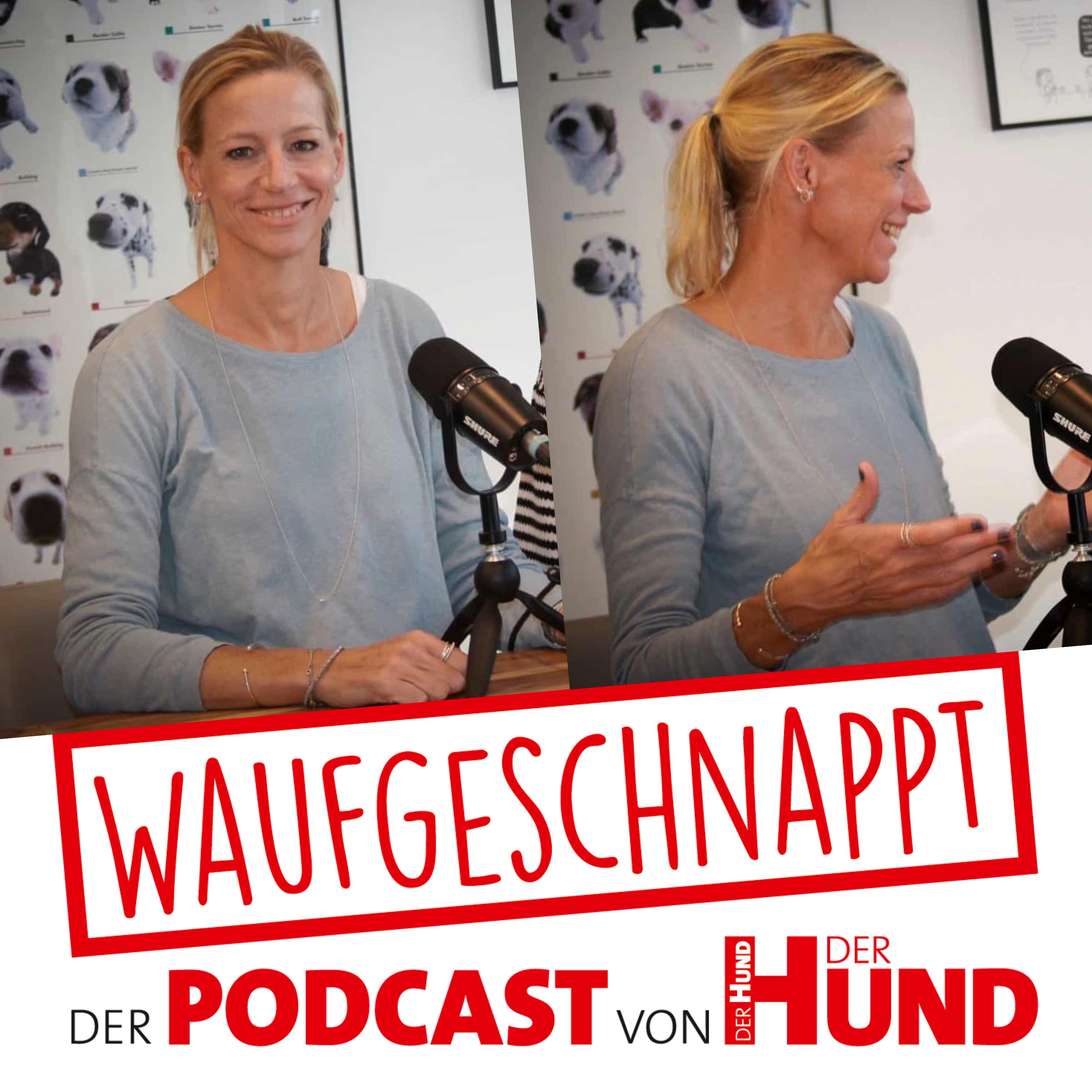Waufgeschnappt - der Podcast von DER HUND