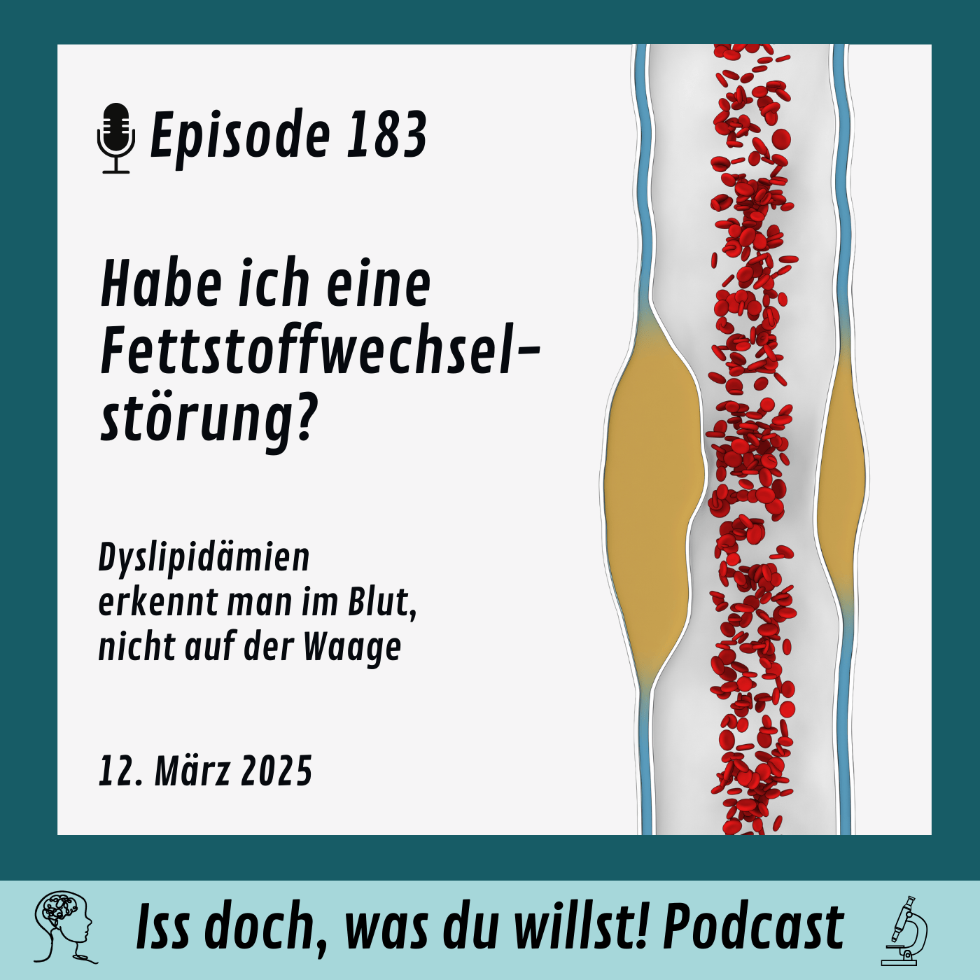 Habe ich eine Fettstoffwechselstörung?