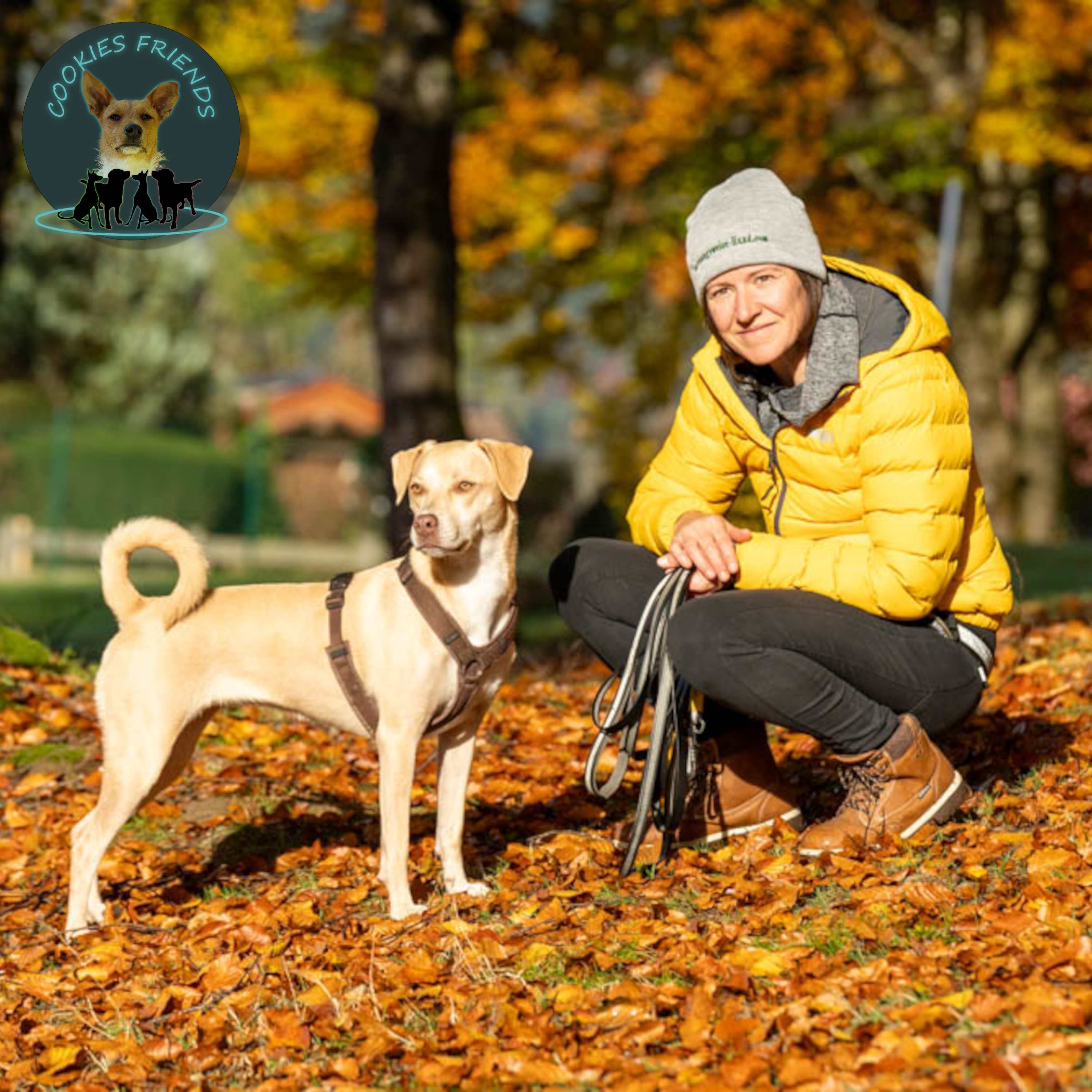 Cookies Friends. Der Podcast für Tierschutz-Hunde