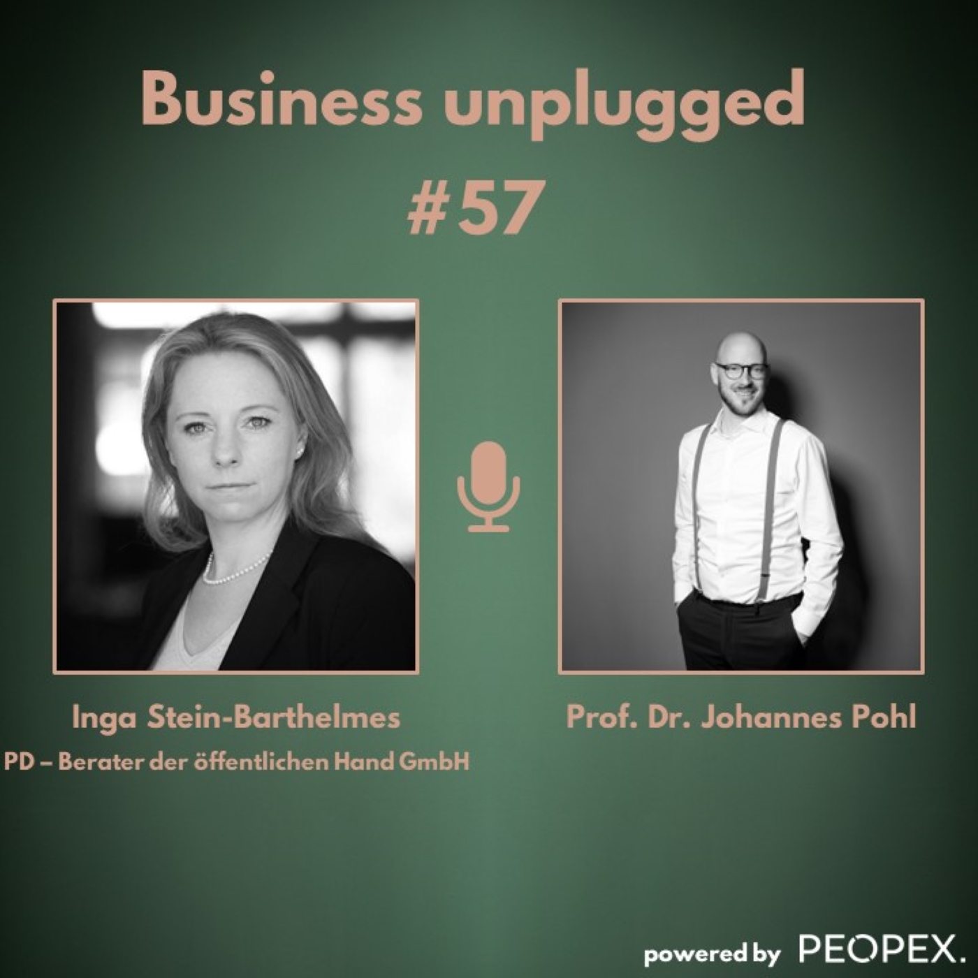Business unplugged - Menschen, Unternehmen und Aspekte der Digitalisierung