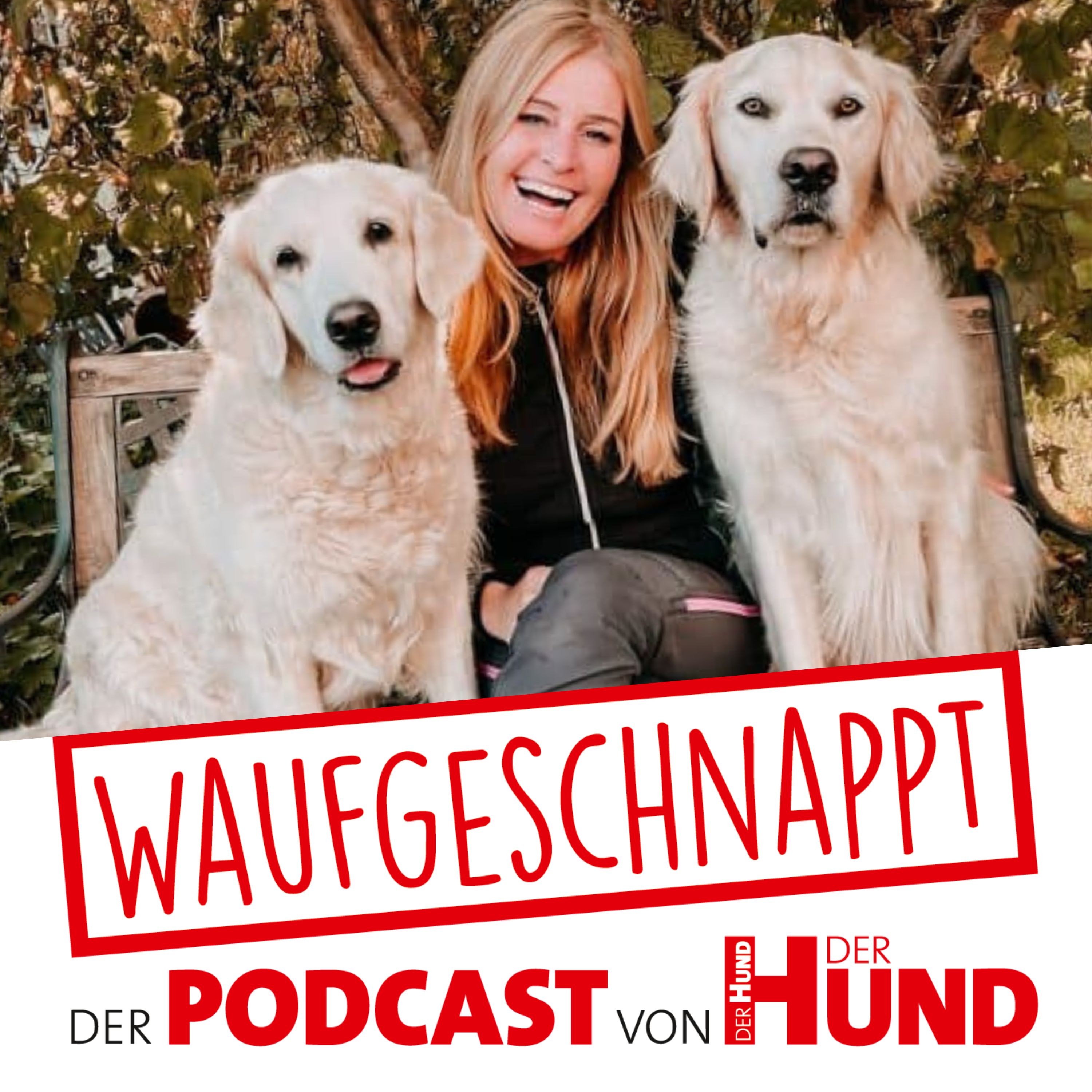 Waufgeschnappt - der Podcast von DER HUND