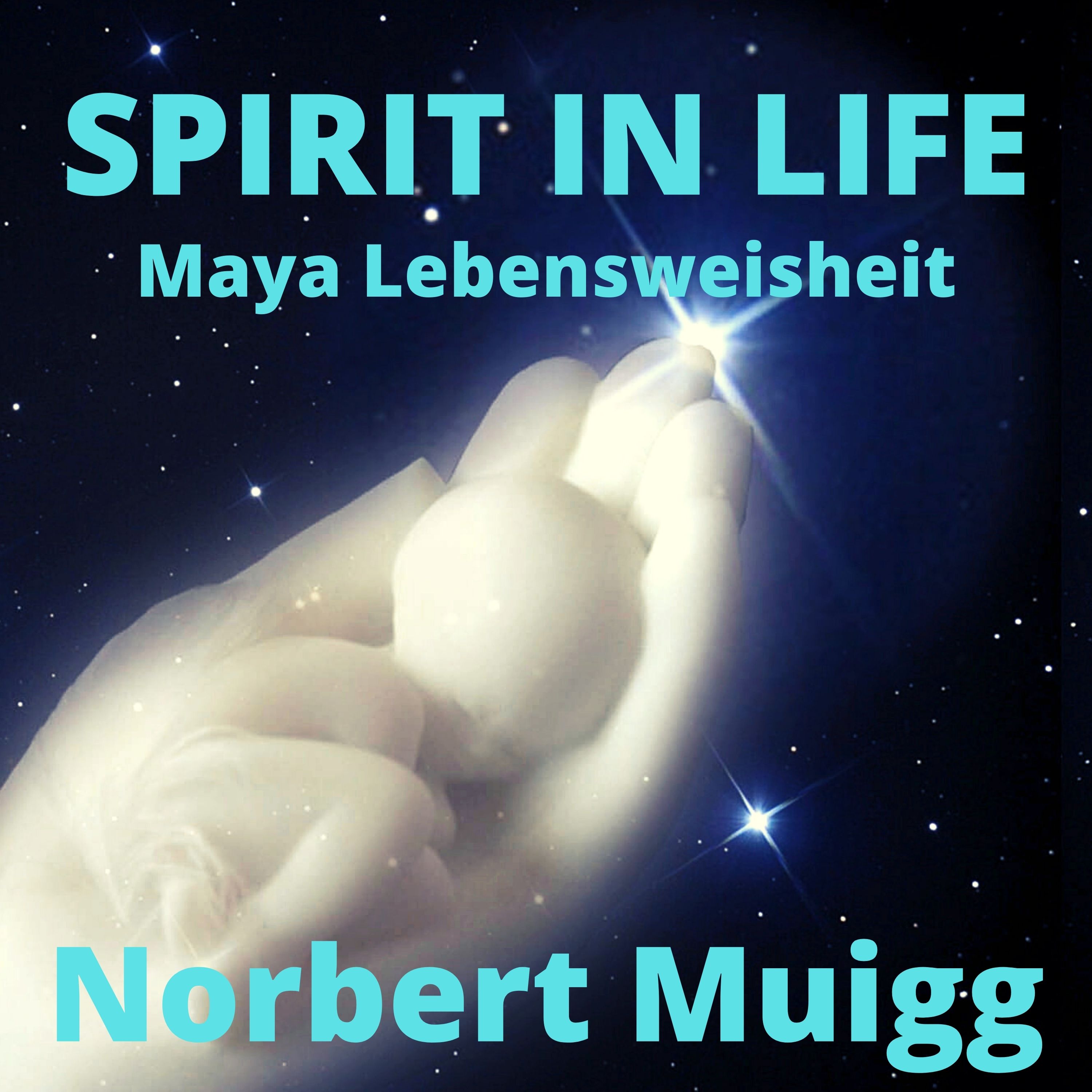 NORBERT\'S SPIRIT IN LIFE - Maya Lebensweisheit