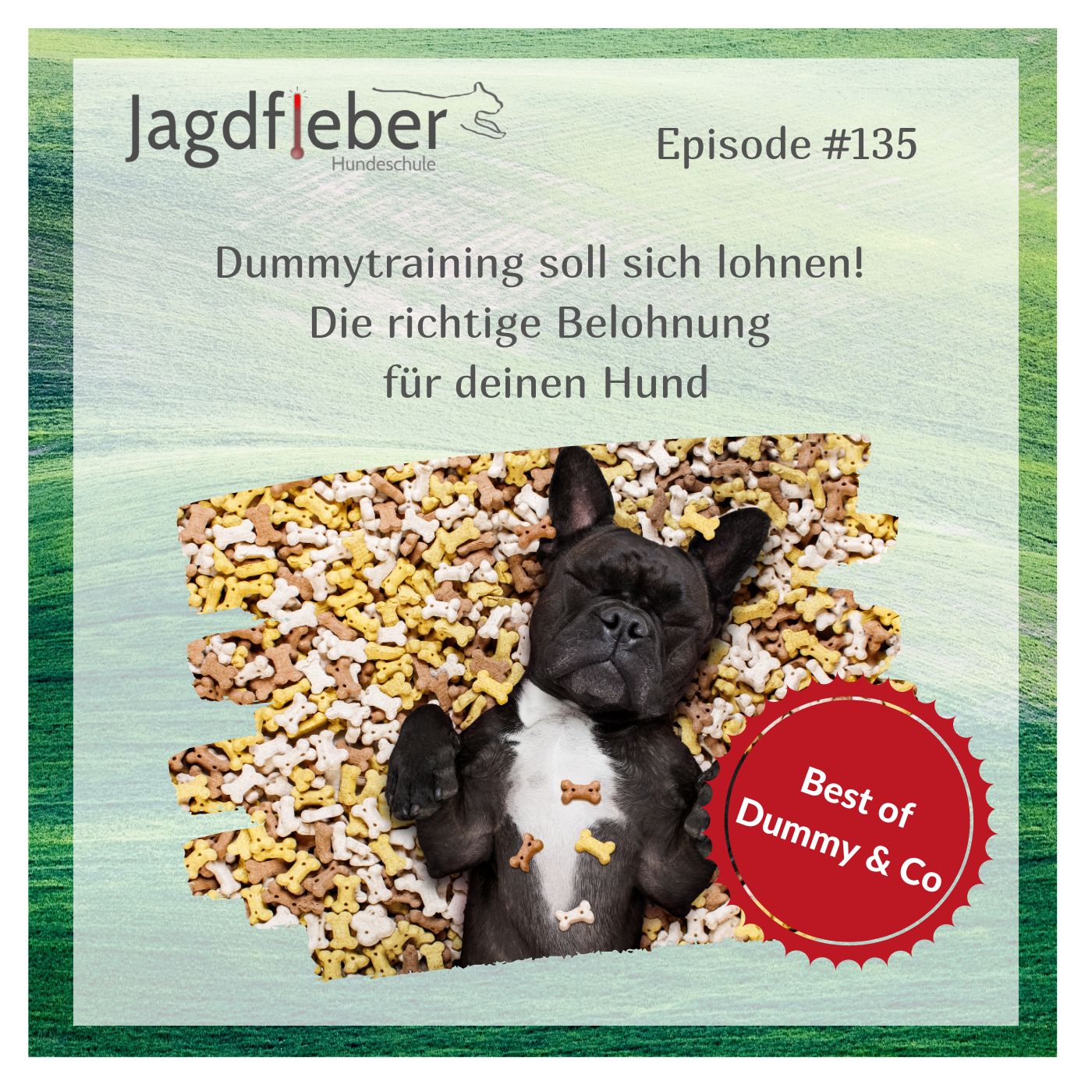 P135: Best of Dummy & Co - Dummytraining soll sich lohnen! Die richtige Belohnung für deinen Hund episode artwork