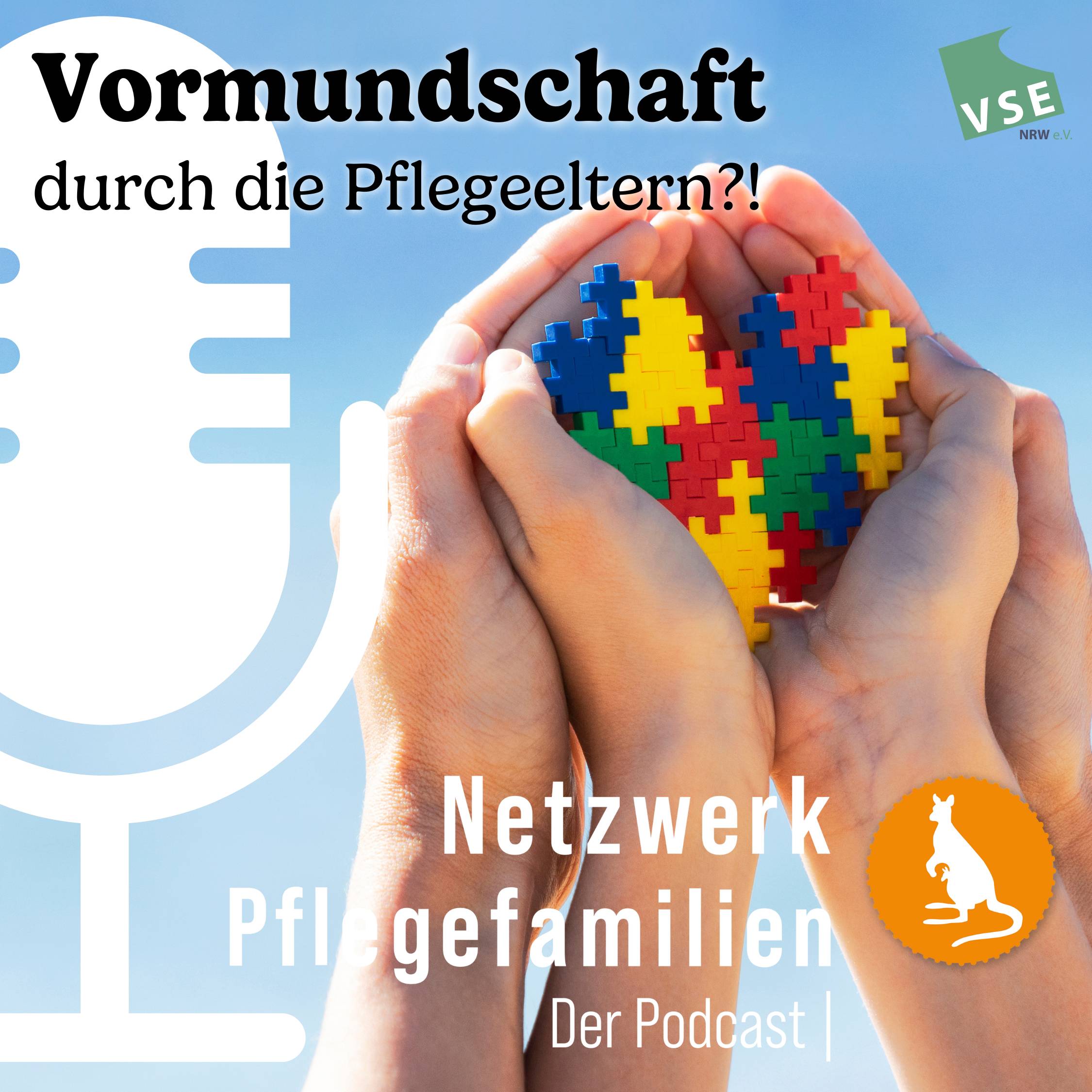 Netzwerk Pflegefamilien - Der Podcast