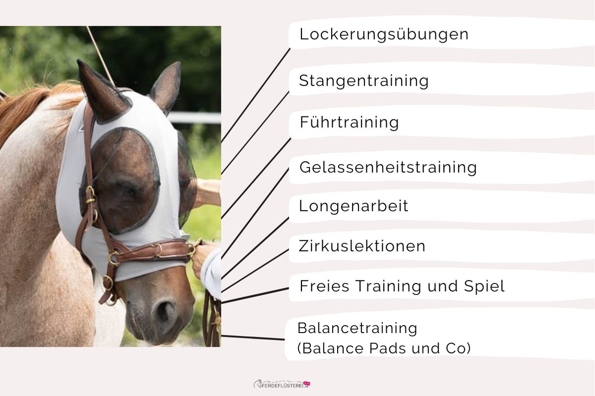 Pferdeflüsterei TO GO! Für Pferdemenschen mit Herz