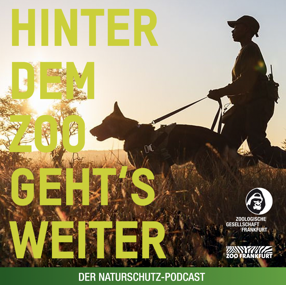 Hinter dem Zoo geht\'s weiter - Der Naturschutzpodcast aus Frankfurt