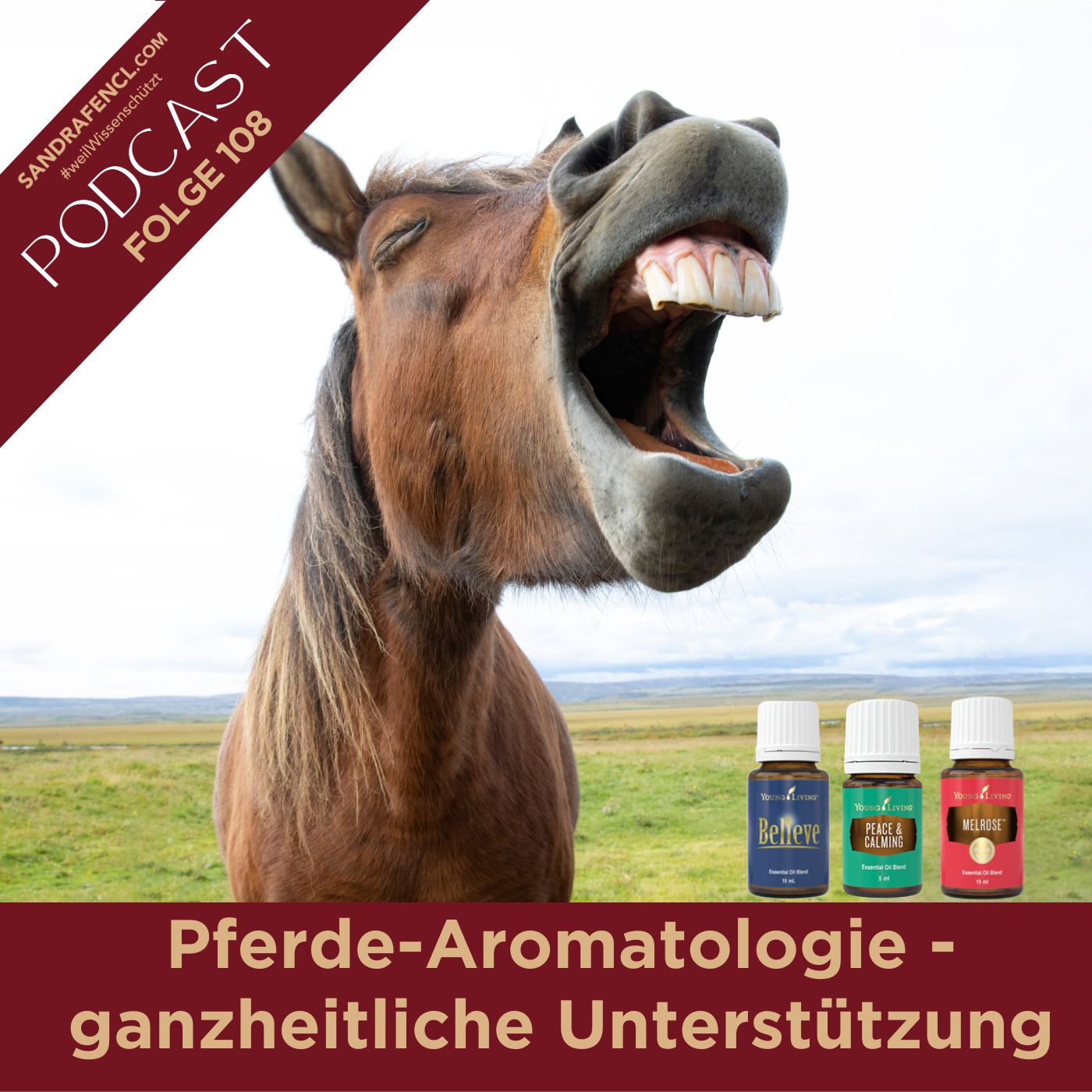 Pferdewissen - ganzheitlich & inspirierend mit Sandra Fencl