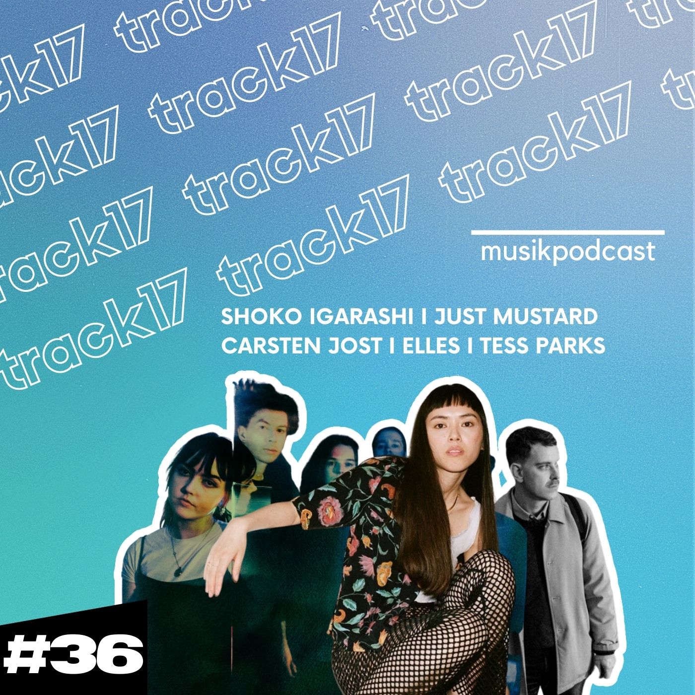 Track17 - Der Musikpodcast