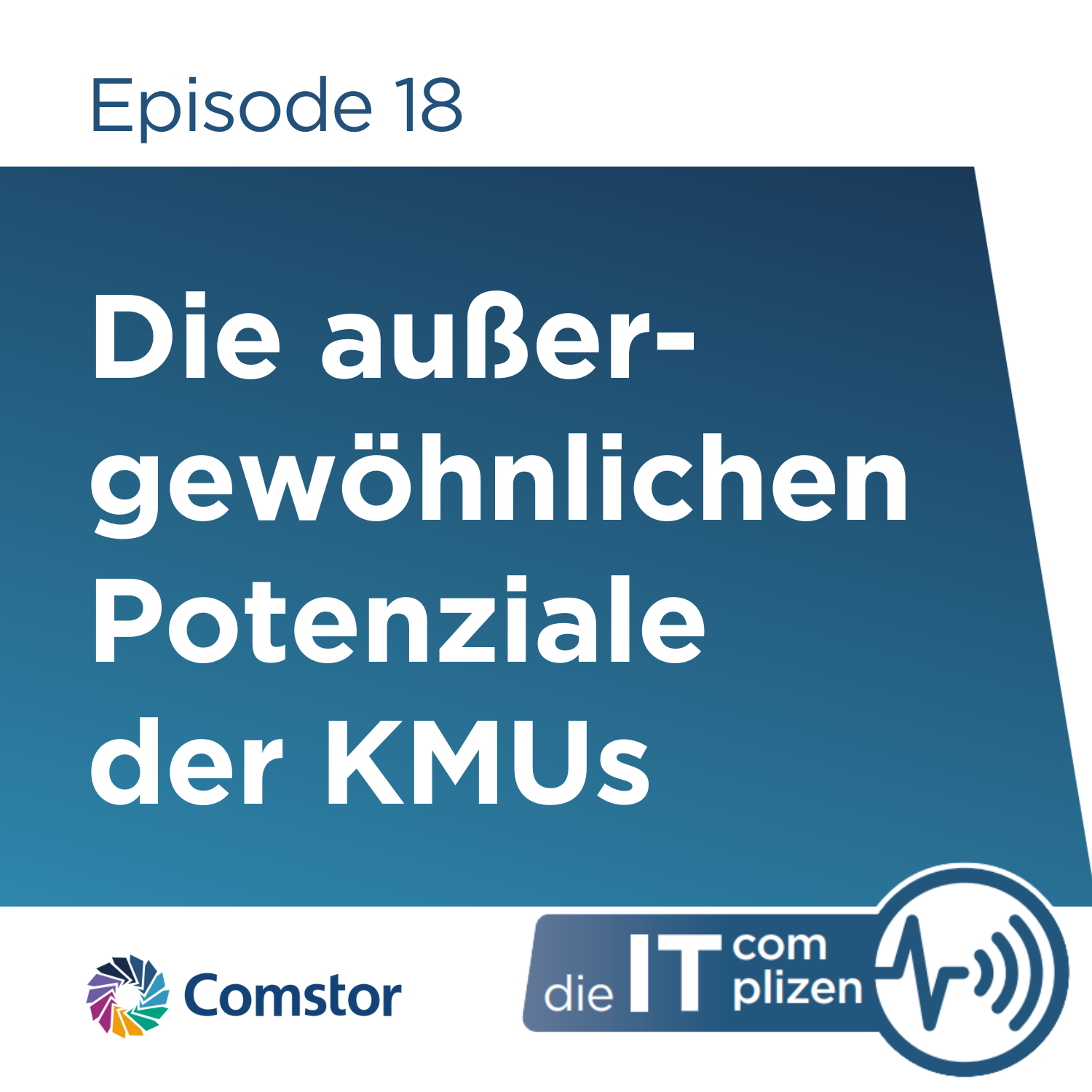 Comstor - Die IT Complizen