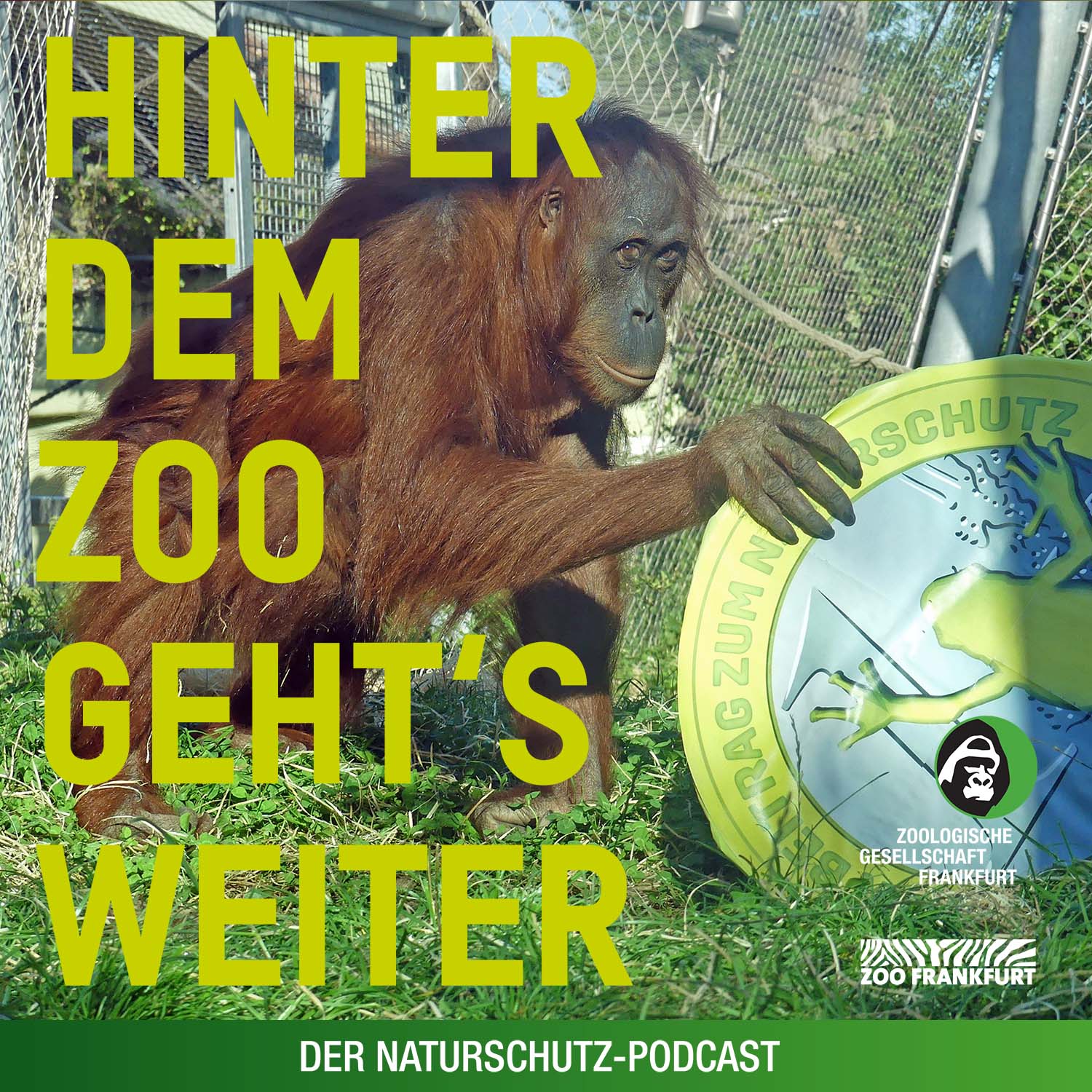 Hinter dem Zoo geht\'s weiter - Der Naturschutzpodcast aus Frankfurt