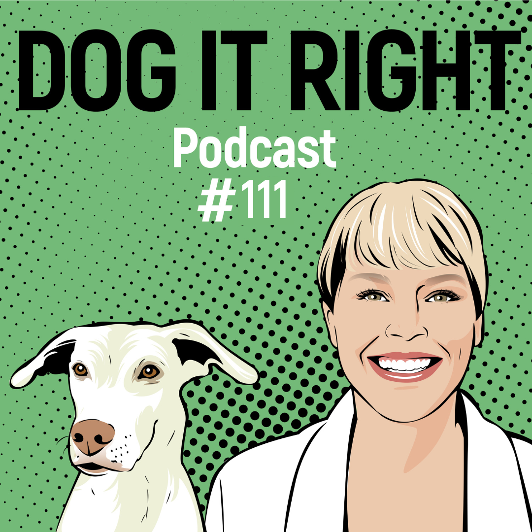 #111: Mein Hund springt Leute an – Was tun?