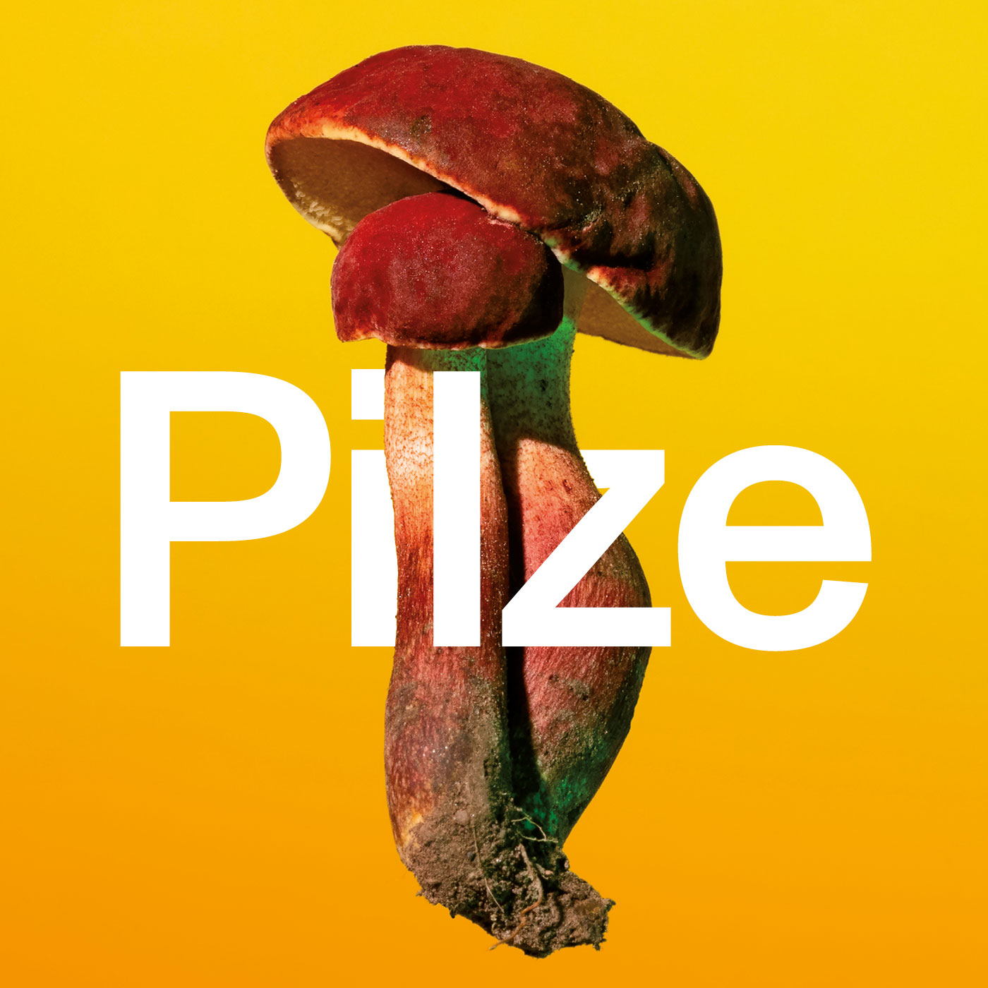 Art‘n‘Vielfalt. Der Podcast für Kunst und Natur des Museums Sinclair-Haus