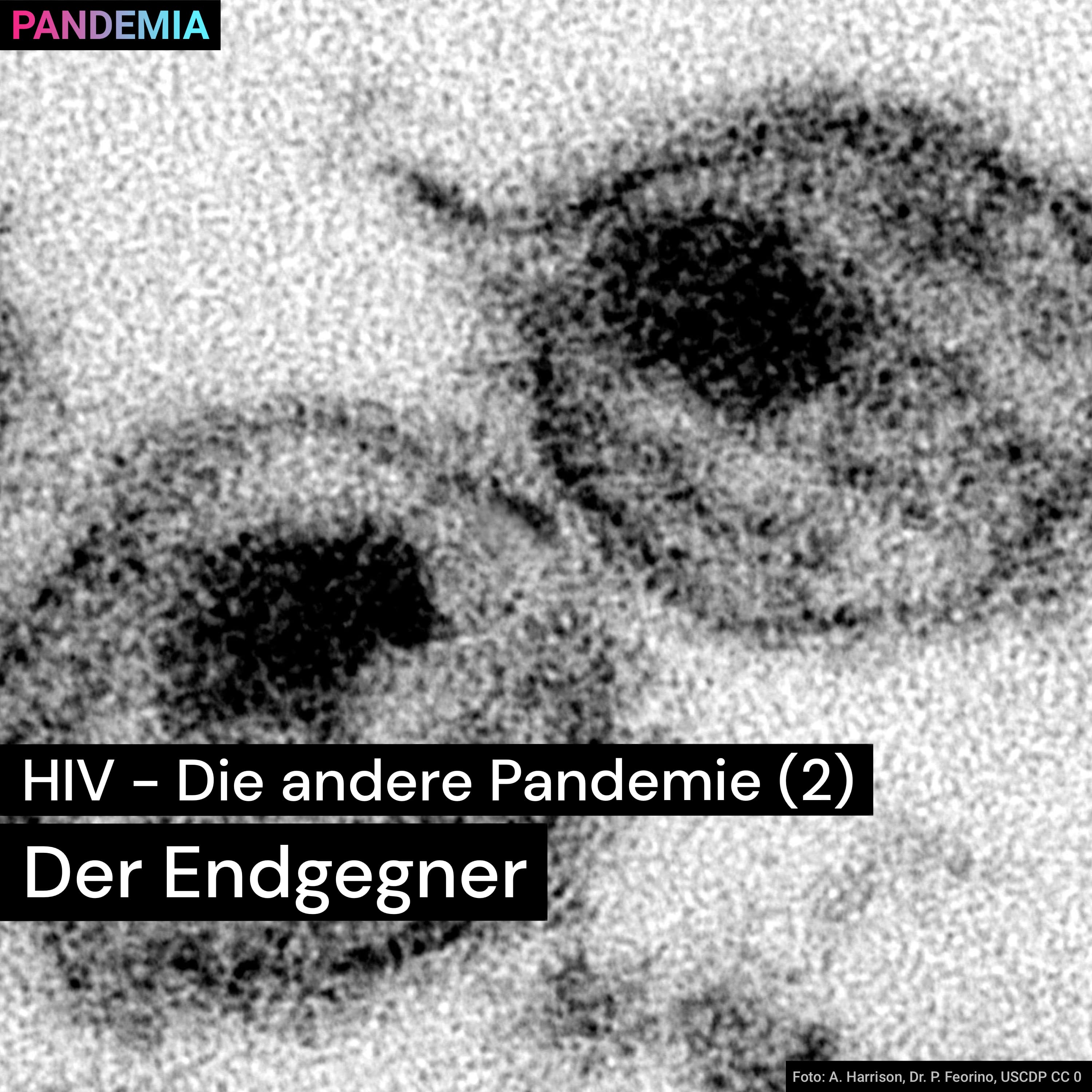 Pandemia