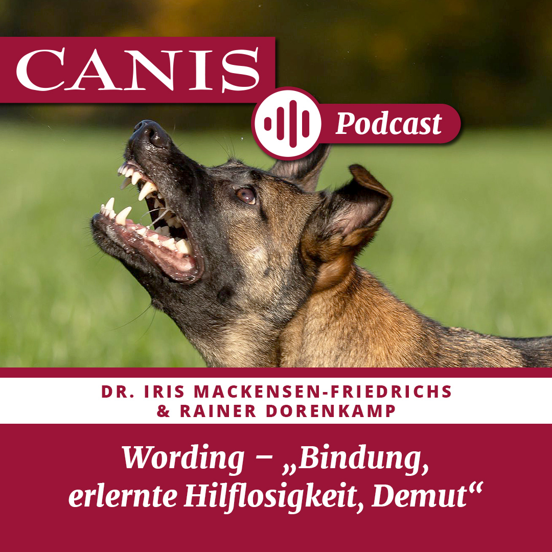 Der CANIS-Podcast – Hundeexpert:innen ausgefragt