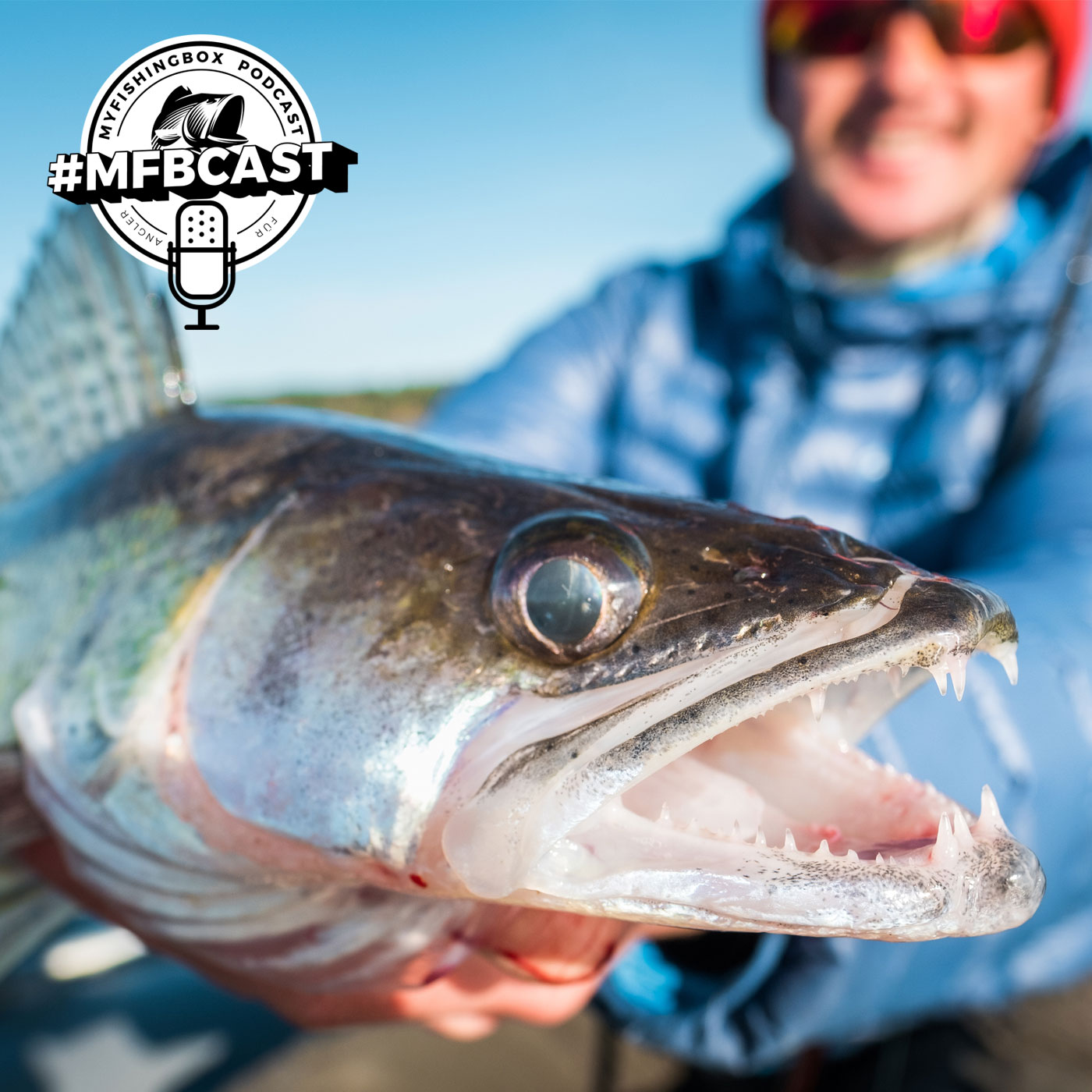 #8 WELCHE FARBEN SEHEN FISCHE? // MFBCAST PODCAST ANGLEN