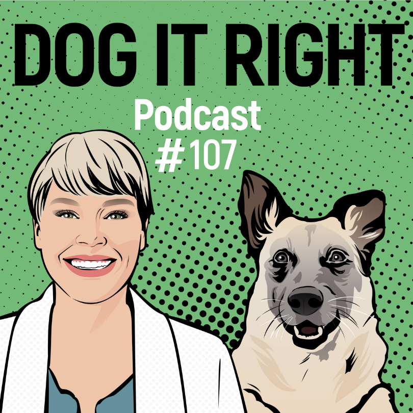 #107: Woran erkenne ich, dass Hundebegegnungen mit meinem Hund besser werden?