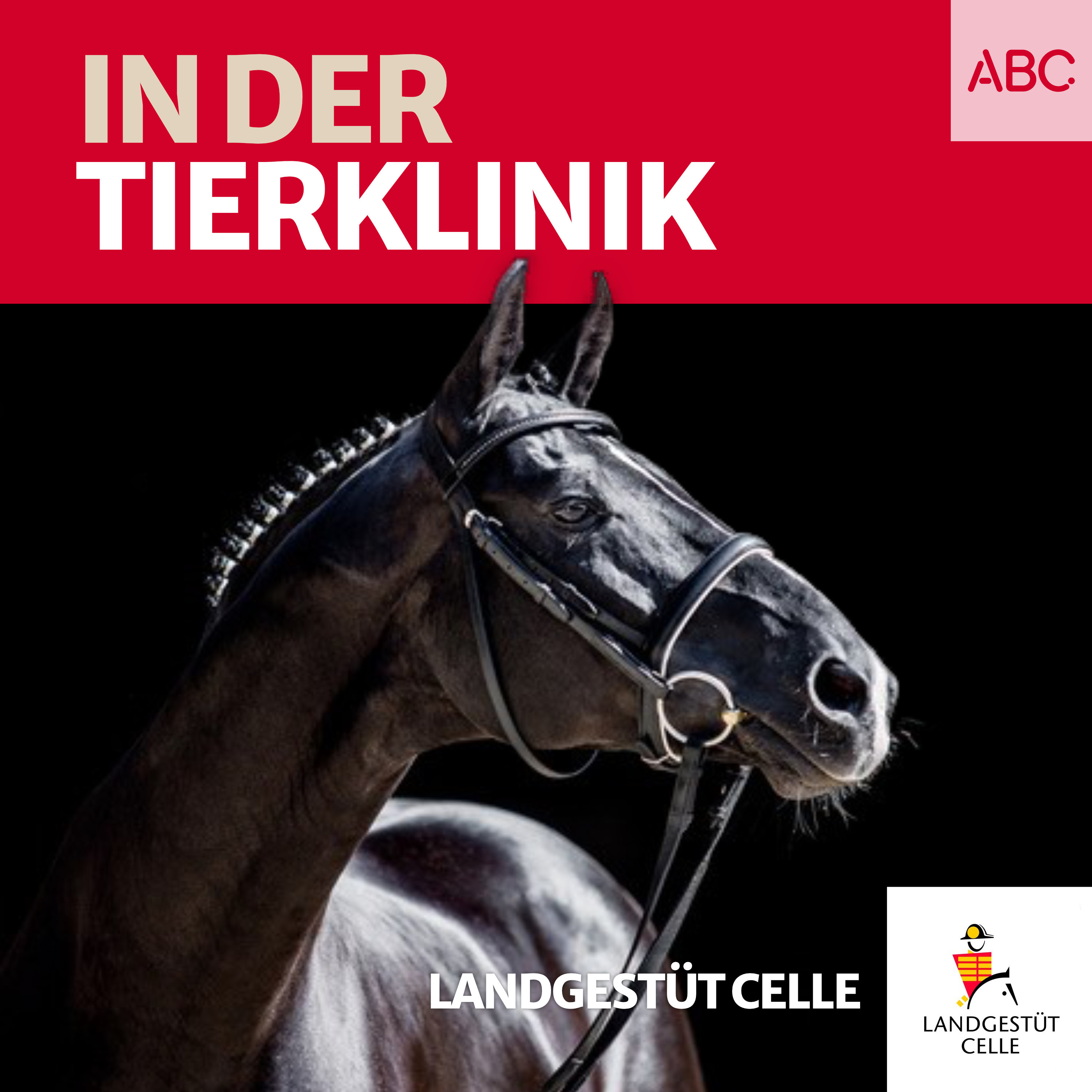 Landgestüt Celle - Der Podcast