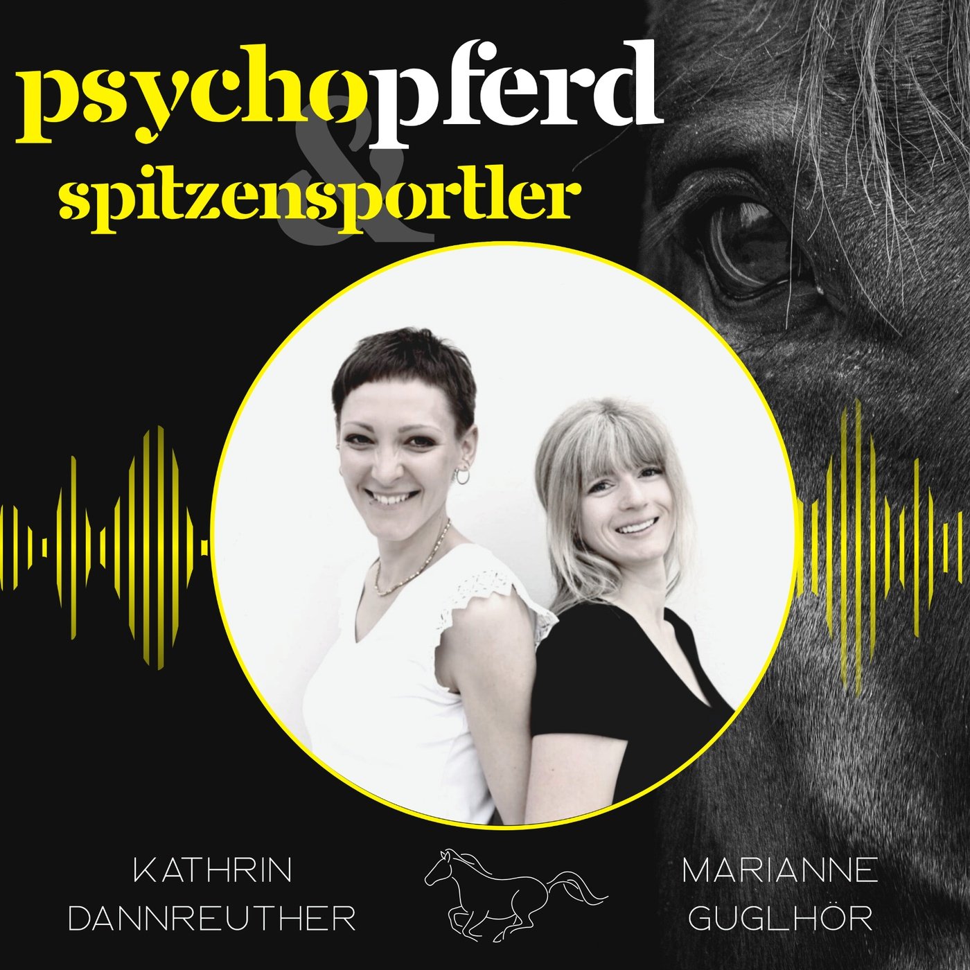 Der größte Irrtum über den Pferderücken #052 Psychopferd & Spitzensportler episode artwork