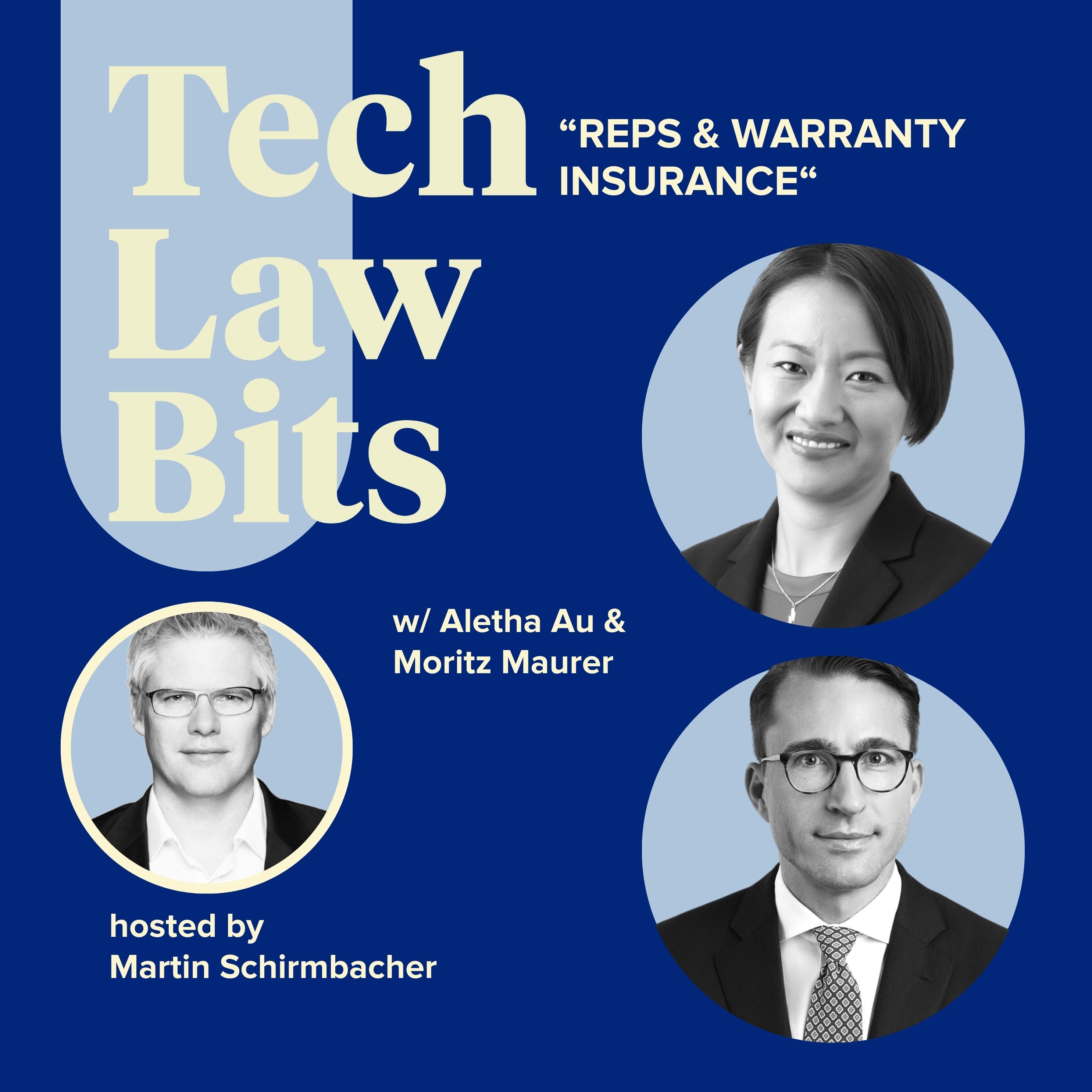 Tech Law Bits