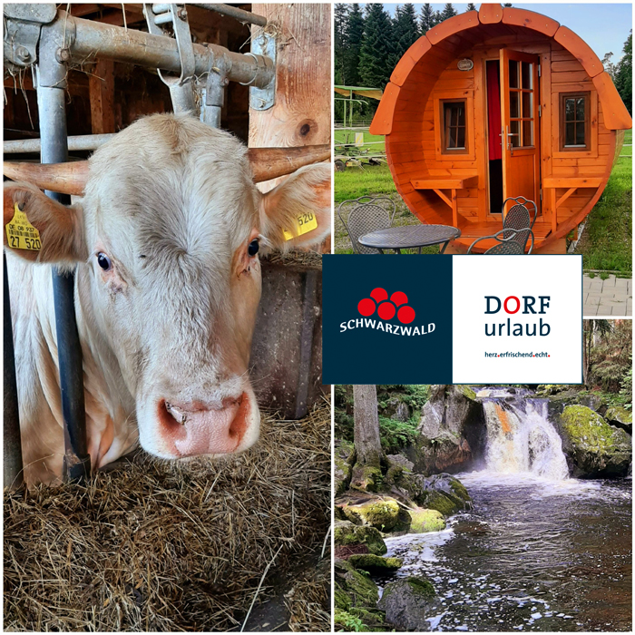 Visitblackforest - Der Schwarzwald Podcast
