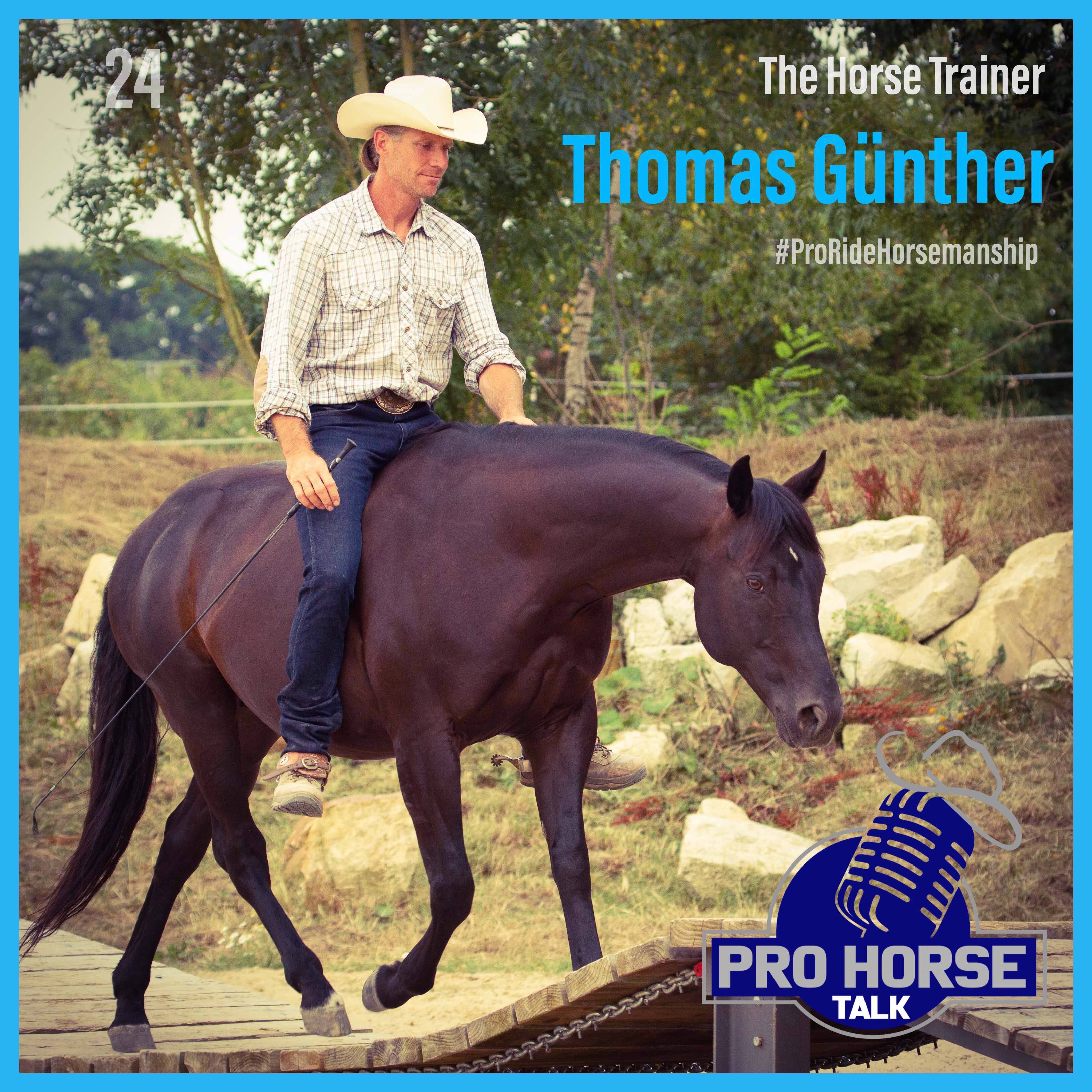 PRO HORSE TALK