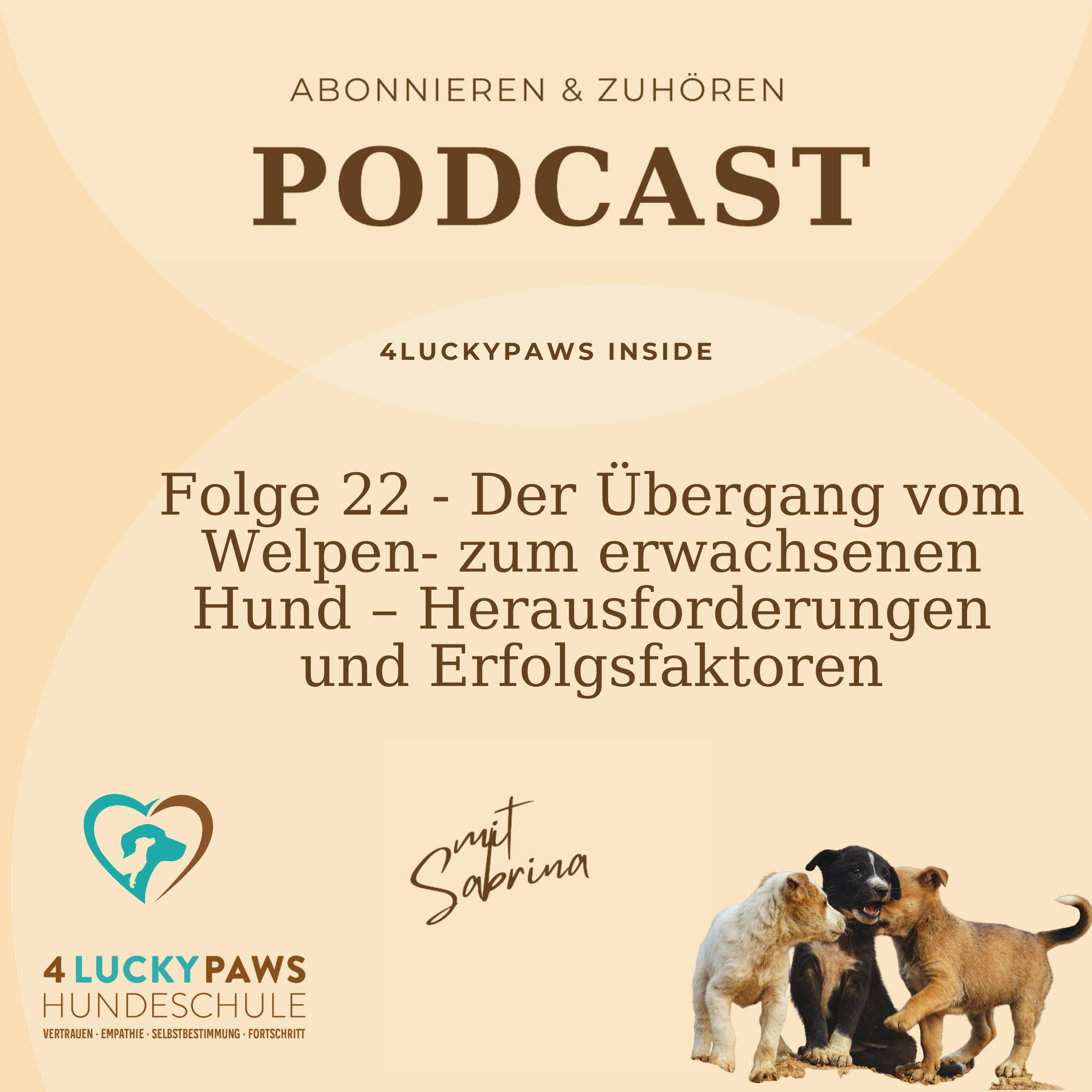 Folge 22 - Der Übergang vom Welpen zum Erwachsenen Hund - Herausforderungen und Erfolgsfaktoren episode artwork