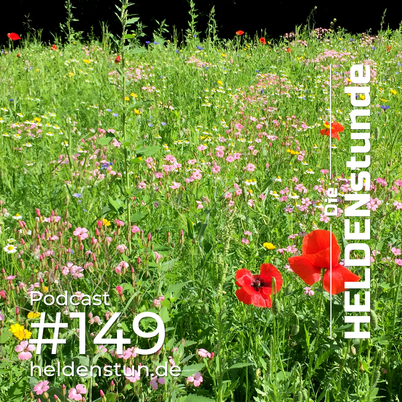 HELDENstunde. Für ein gesundes und bewusstes Leben.