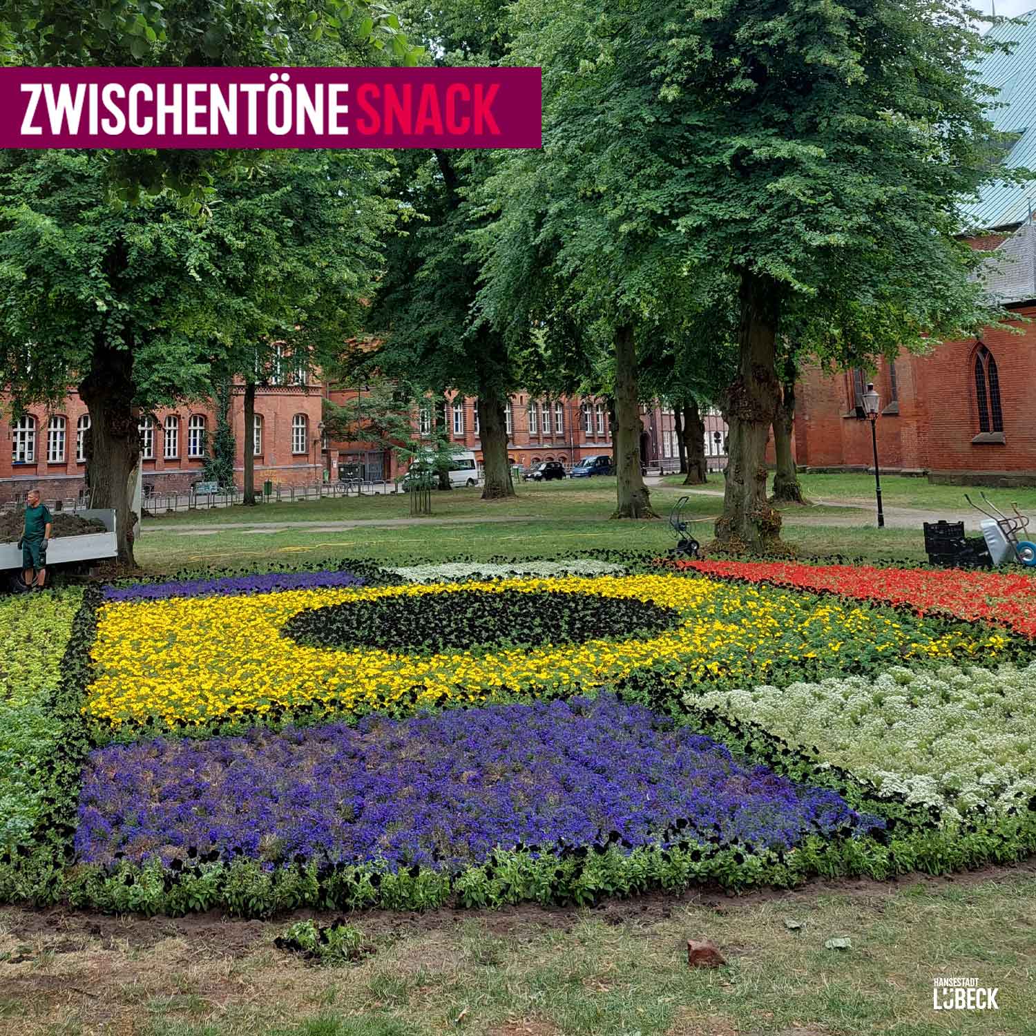 Florale Kunst auf der Wiese vor dem Dom mit Matt Mullican episode artwork