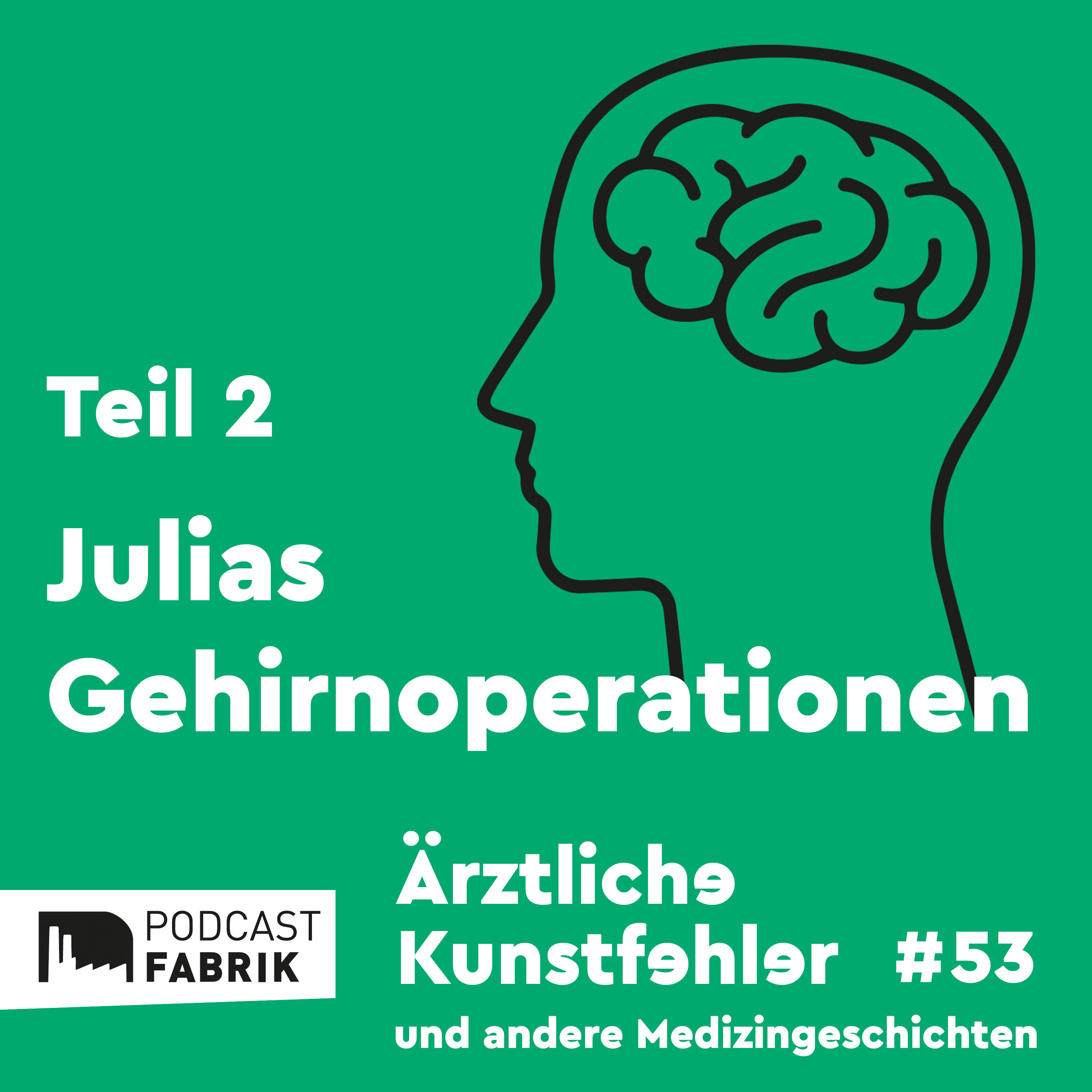 Ärztliche Kunstfehler und andere Medizingeschichten