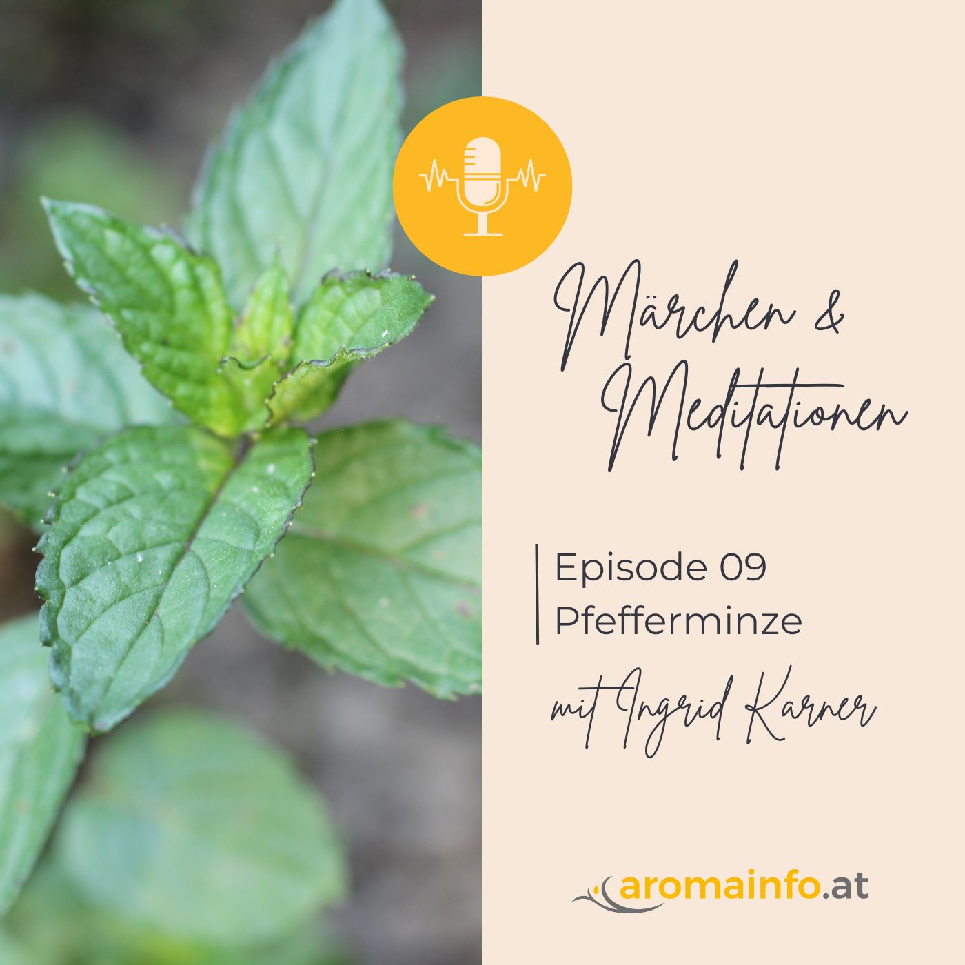 Fragrantia - Märchen & Meditationen mit Duftpflanzen